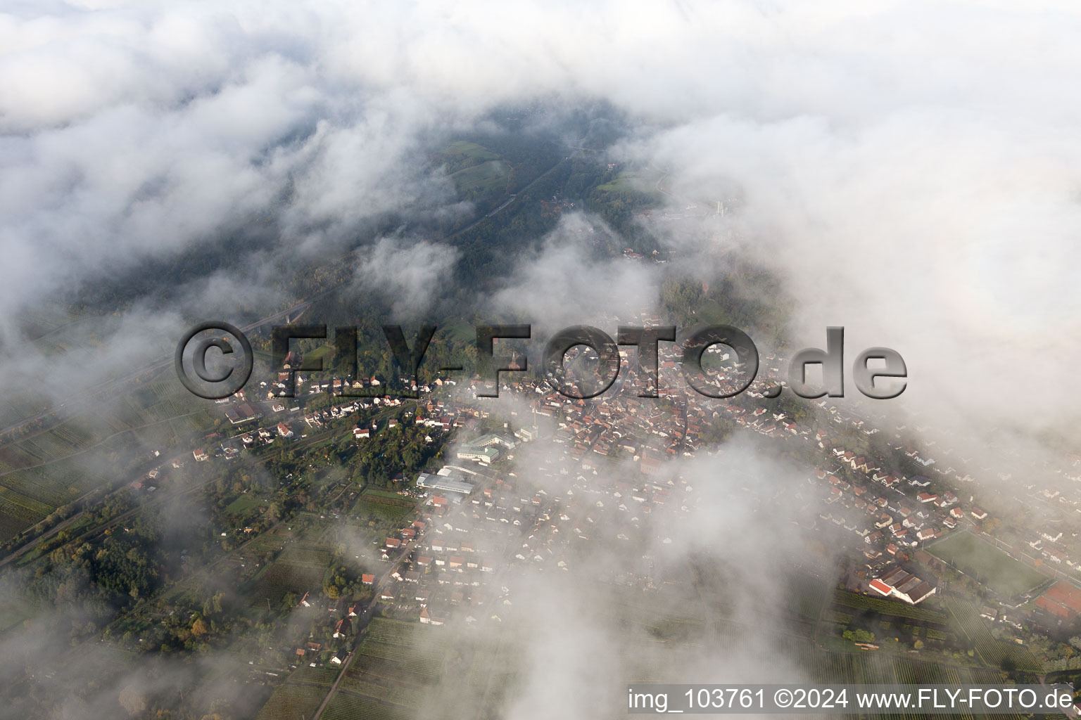 Siebeldingen in the state Rhineland-Palatinate, Germany out of the air