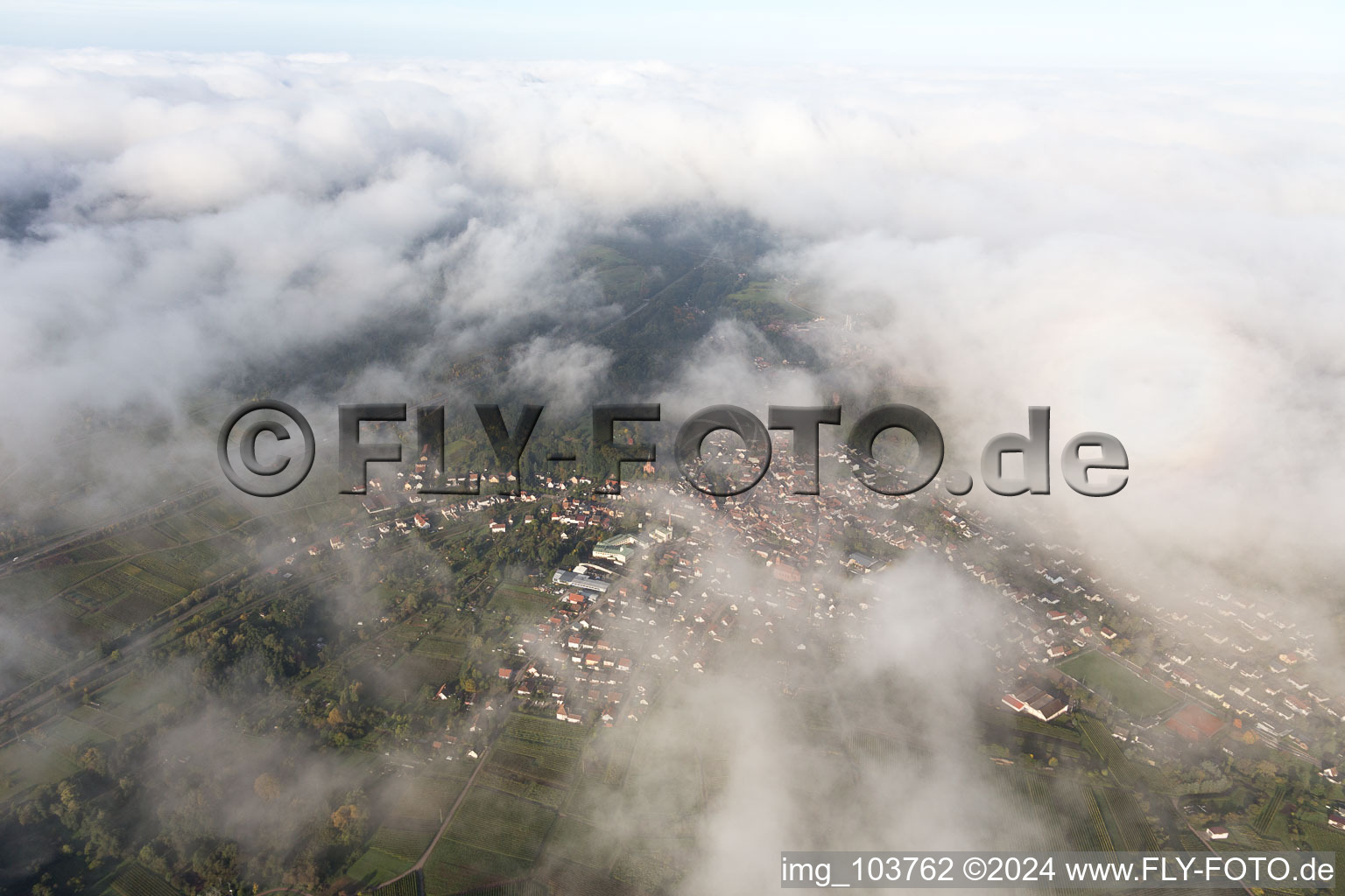 Siebeldingen in the state Rhineland-Palatinate, Germany seen from above