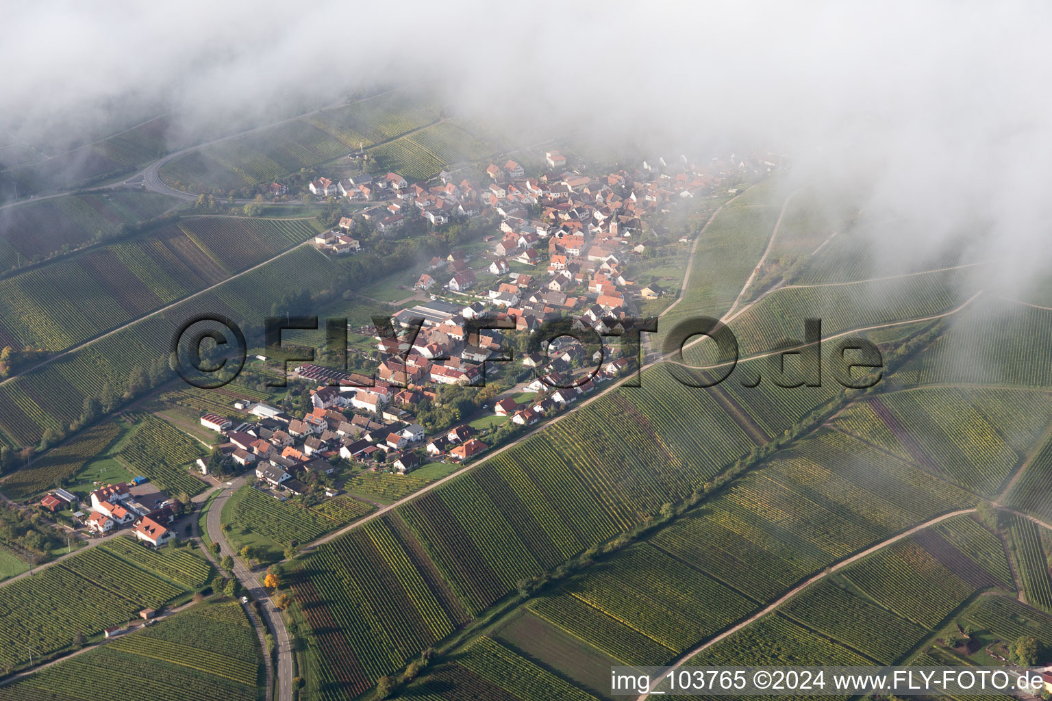 Oblique view of Birkweiler in the state Rhineland-Palatinate, Germany