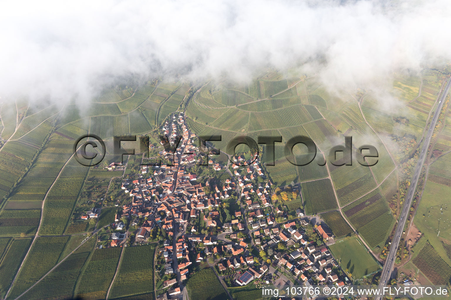 Birkweiler in the state Rhineland-Palatinate, Germany from above