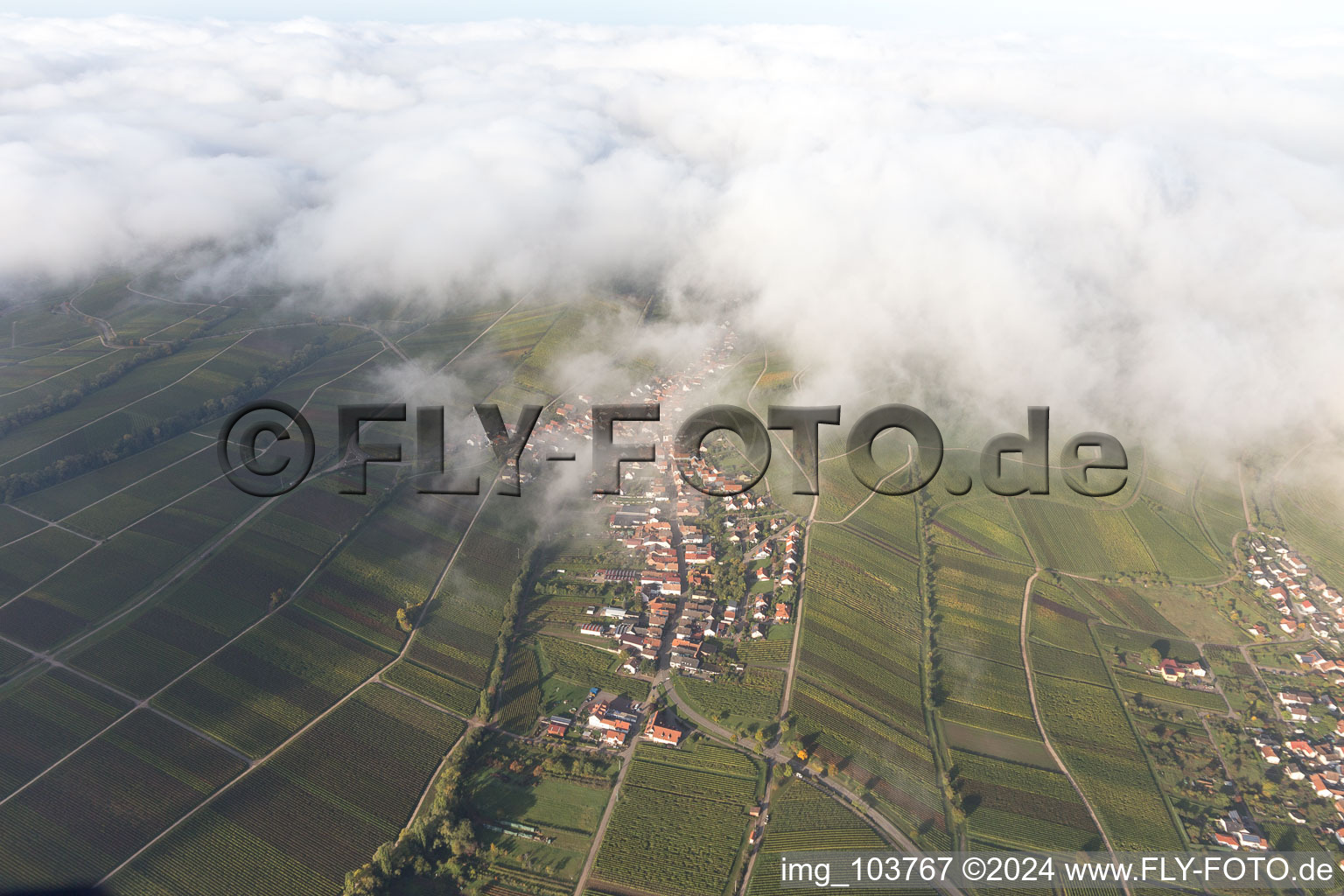 Birkweiler in the state Rhineland-Palatinate, Germany out of the air