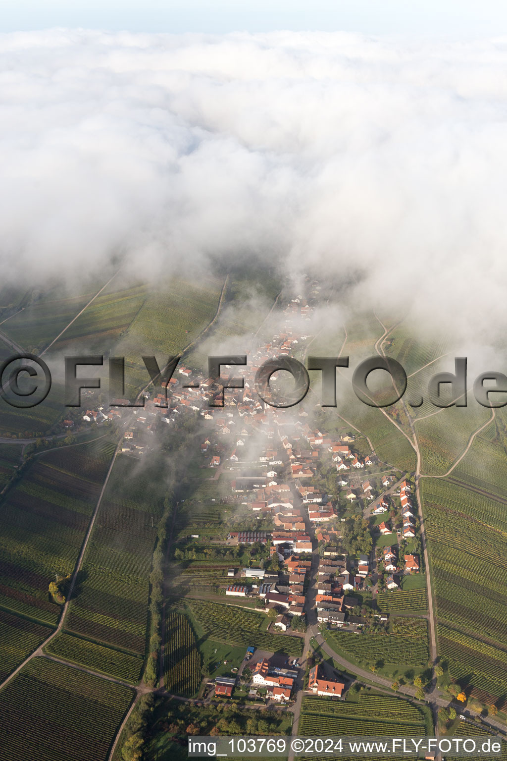 Birkweiler in the state Rhineland-Palatinate, Germany seen from above