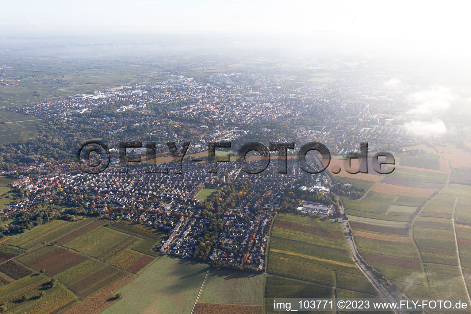 Oblique view of District Wollmesheim in Landau in der Pfalz in the state Rhineland-Palatinate, Germany