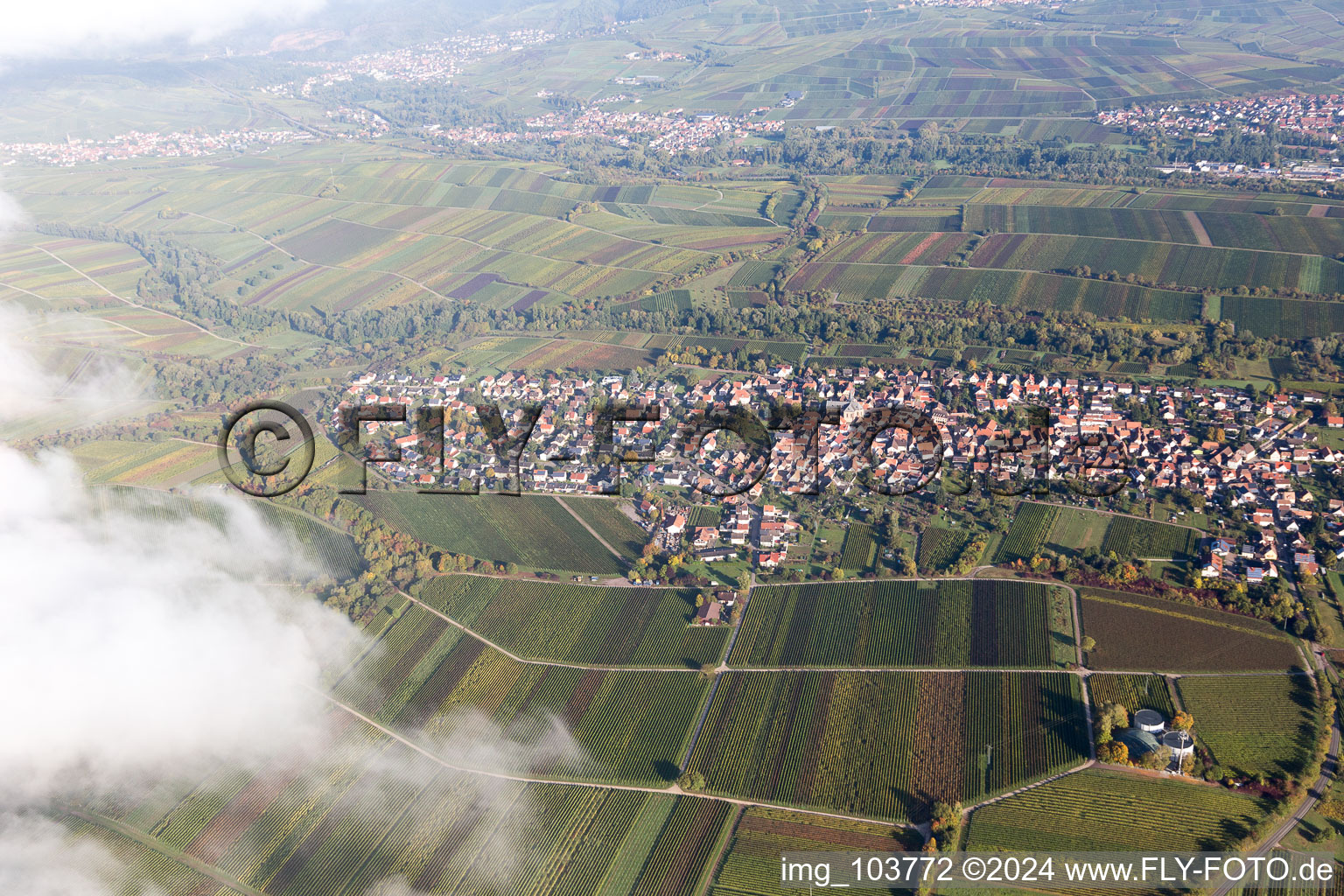 District Wollmesheim in Landau in der Pfalz in the state Rhineland-Palatinate, Germany from above