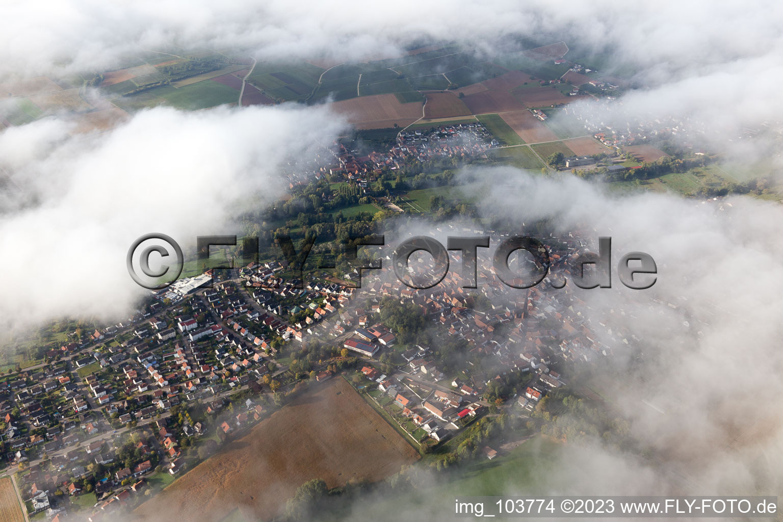 Bird's eye view of District Billigheim in Billigheim-Ingenheim in the state Rhineland-Palatinate, Germany