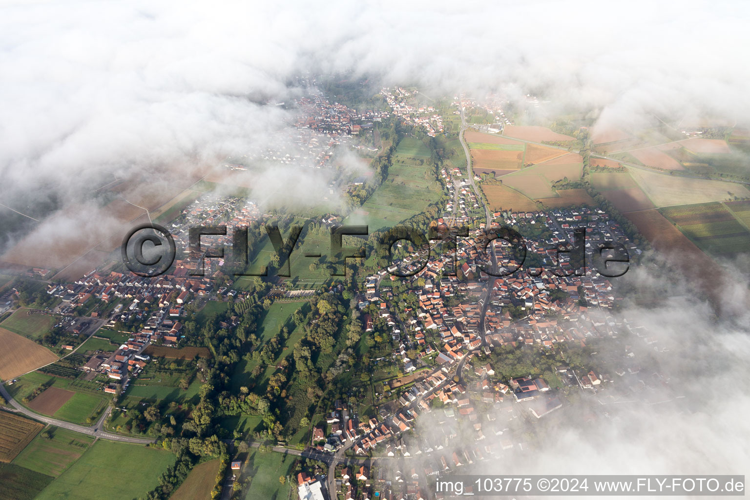 District Billigheim in Billigheim-Ingenheim in the state Rhineland-Palatinate, Germany viewn from the air