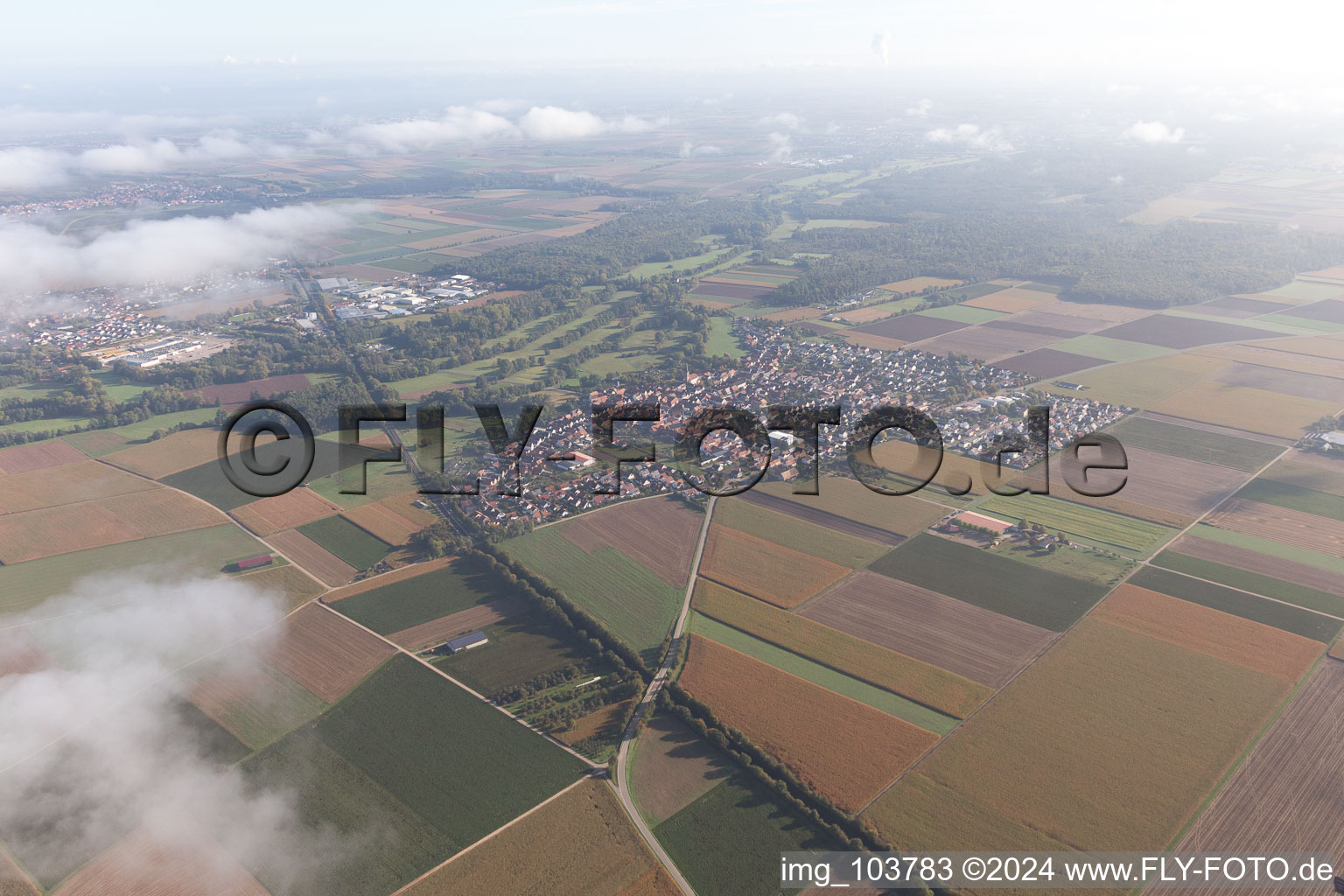 Bird's eye view of Steinweiler in the state Rhineland-Palatinate, Germany