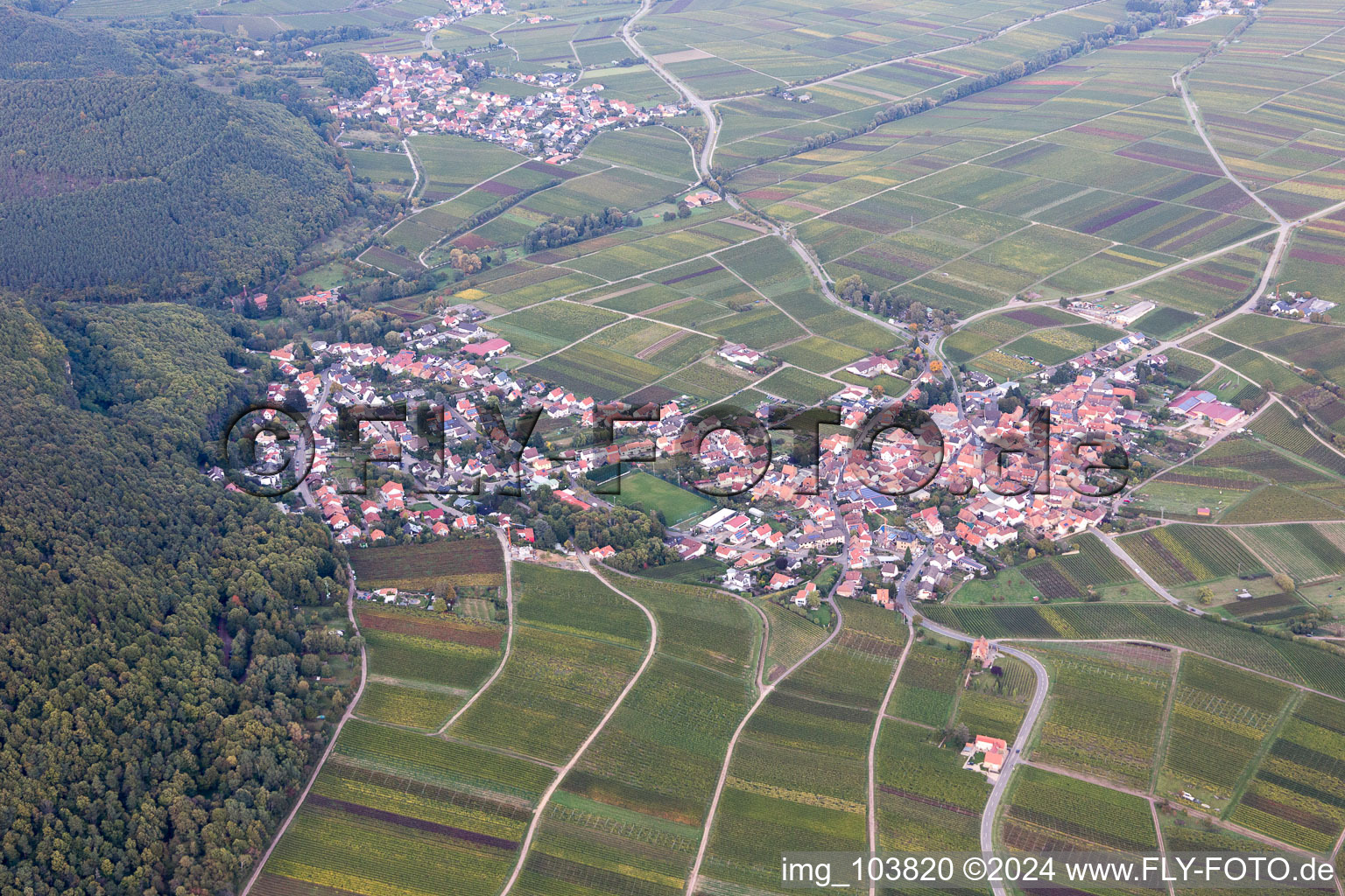 Frankweiler in the state Rhineland-Palatinate, Germany from the drone perspective