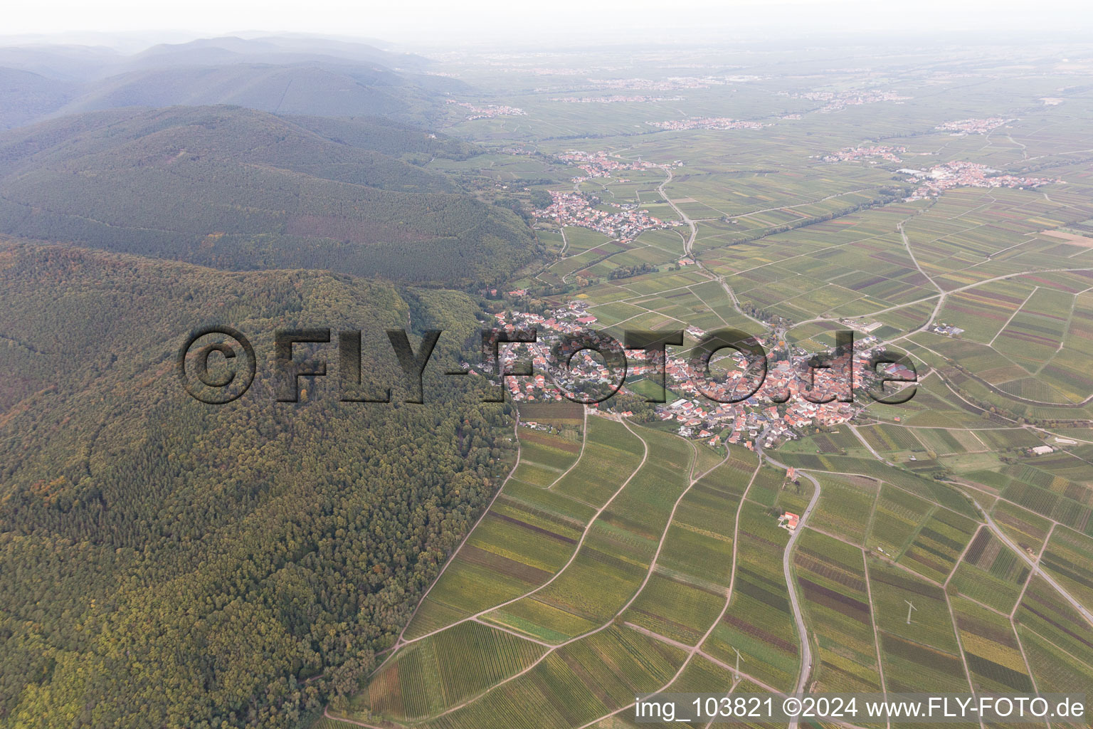 Frankweiler in the state Rhineland-Palatinate, Germany from a drone