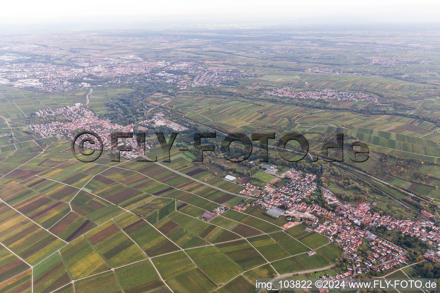 Bird's eye view of Siebeldingen in the state Rhineland-Palatinate, Germany