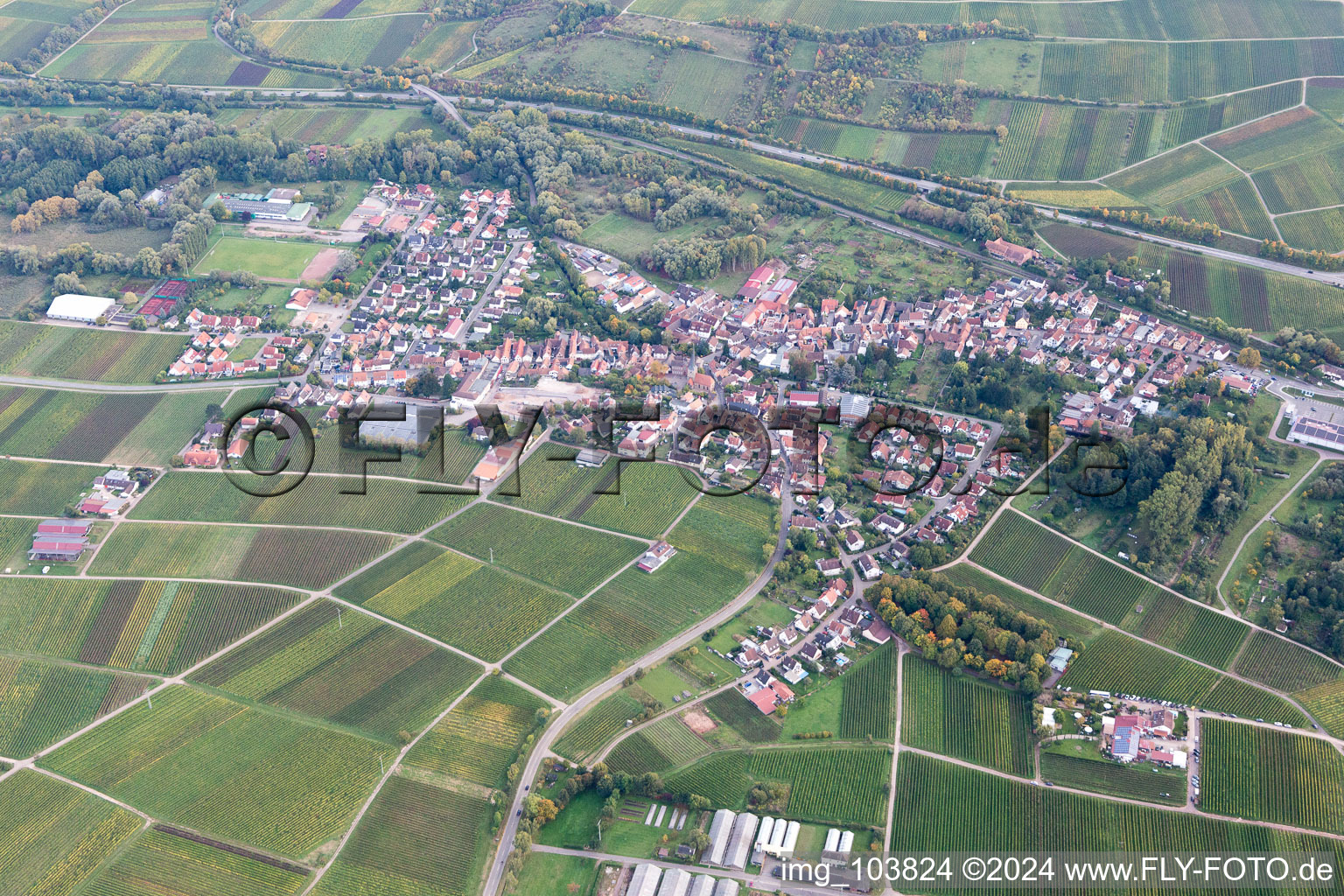 Siebeldingen in the state Rhineland-Palatinate, Germany viewn from the air