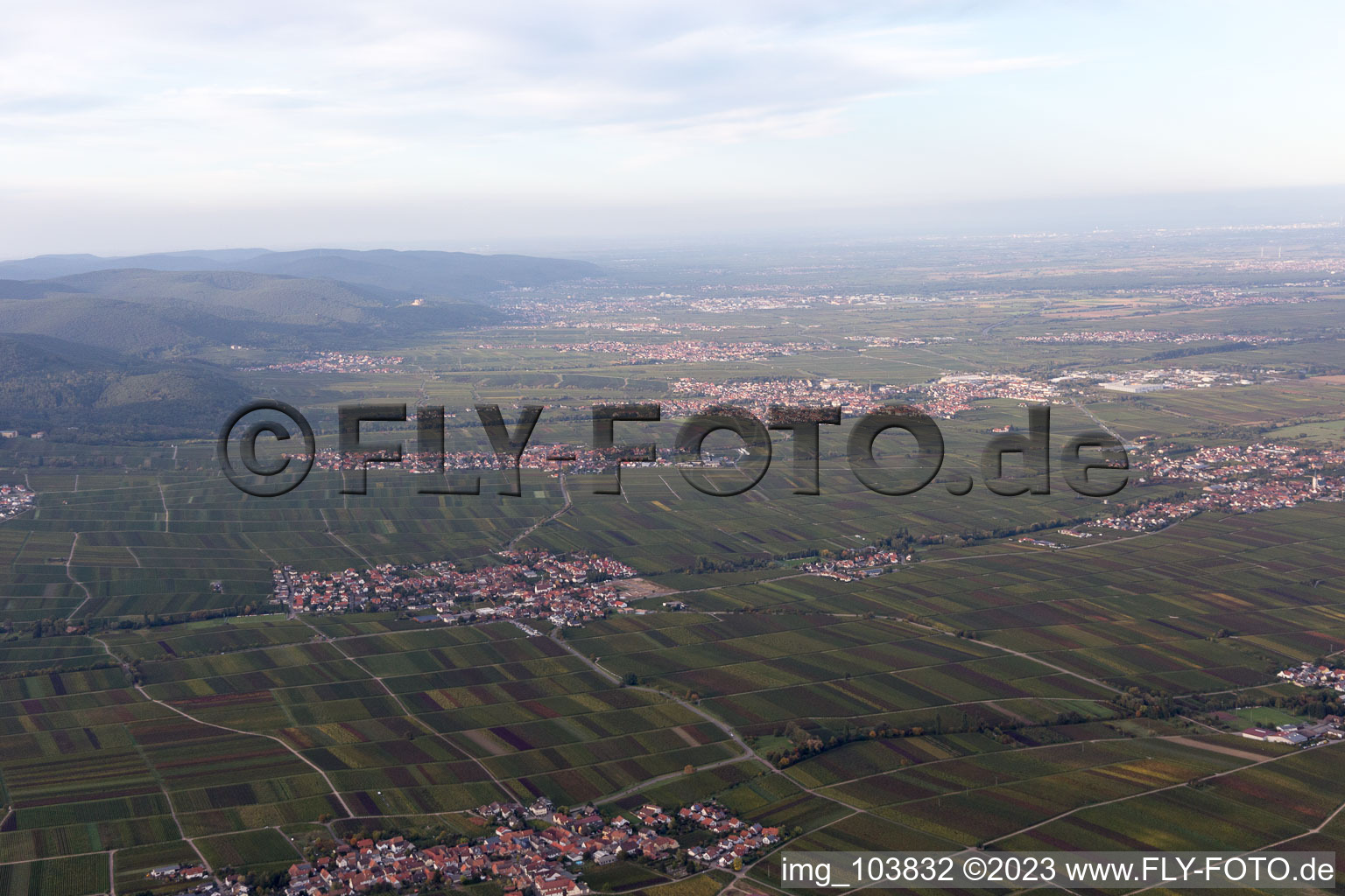Aerial view of Flemlingen in the state Rhineland-Palatinate, Germany