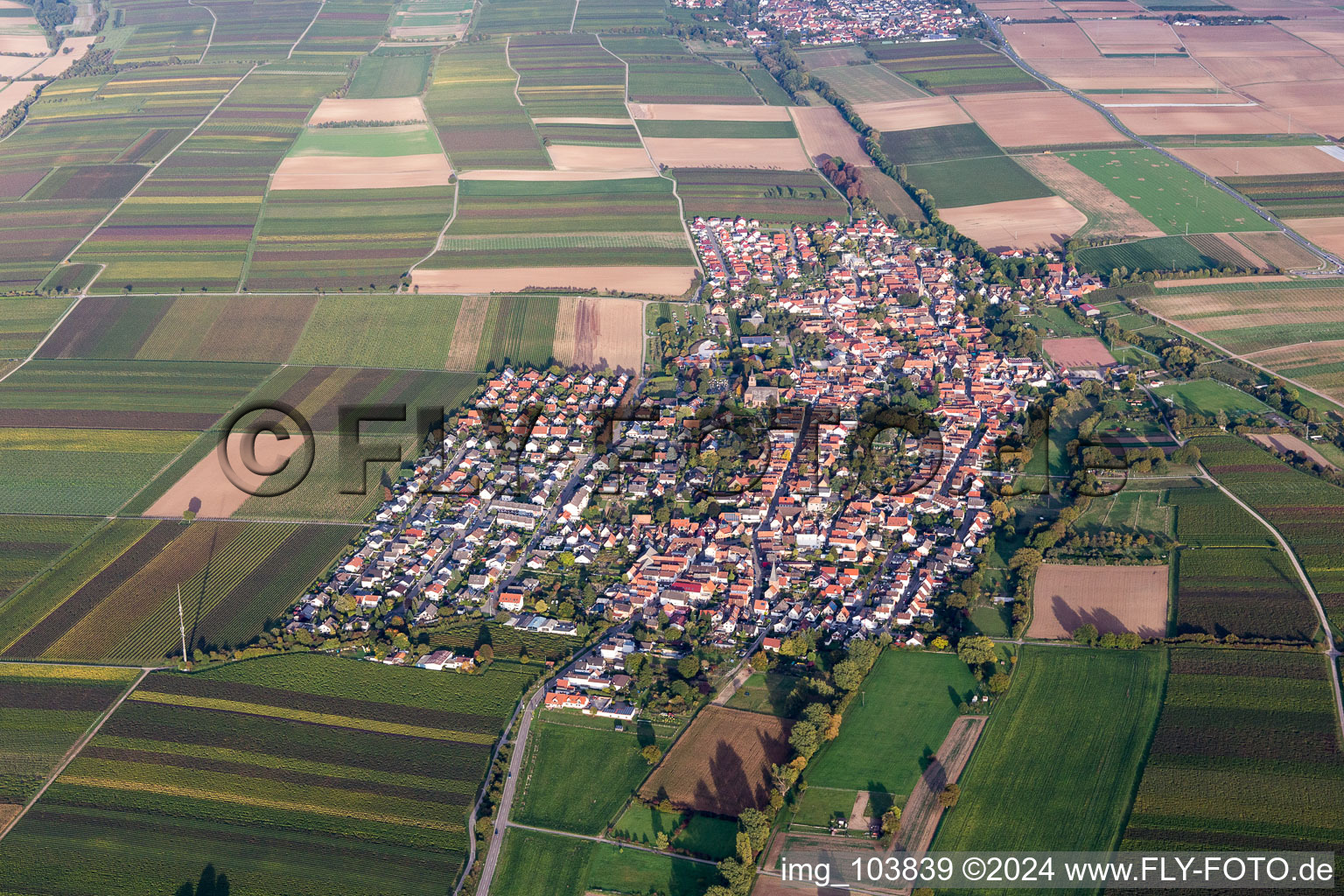 Village - view on the edge of agricultural fields and farmland in Essingen in the state Rhineland-Palatinate, Germany