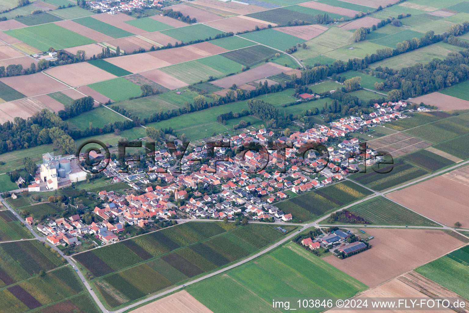 Freimersheim in the state Rhineland-Palatinate, Germany from the drone perspective