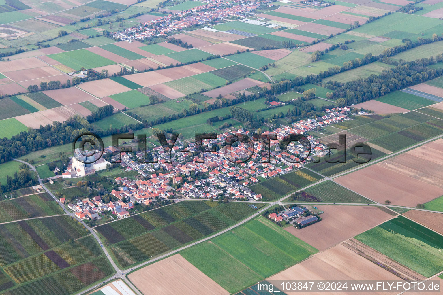 Freimersheim in the state Rhineland-Palatinate, Germany from a drone