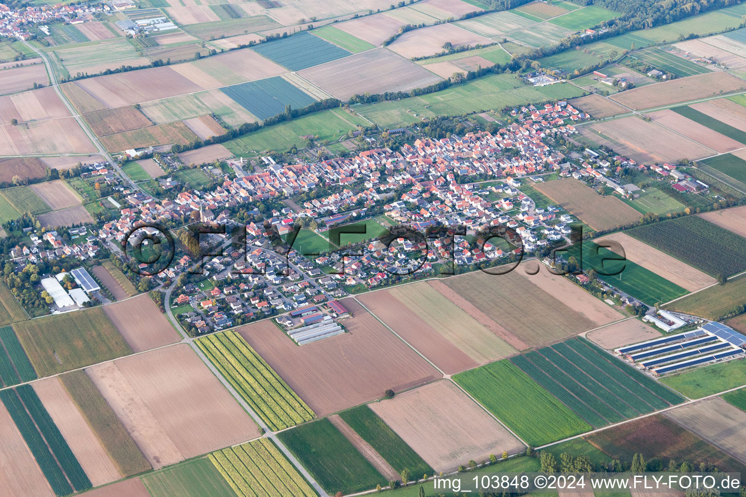 Gommersheim in the state Rhineland-Palatinate, Germany from the plane