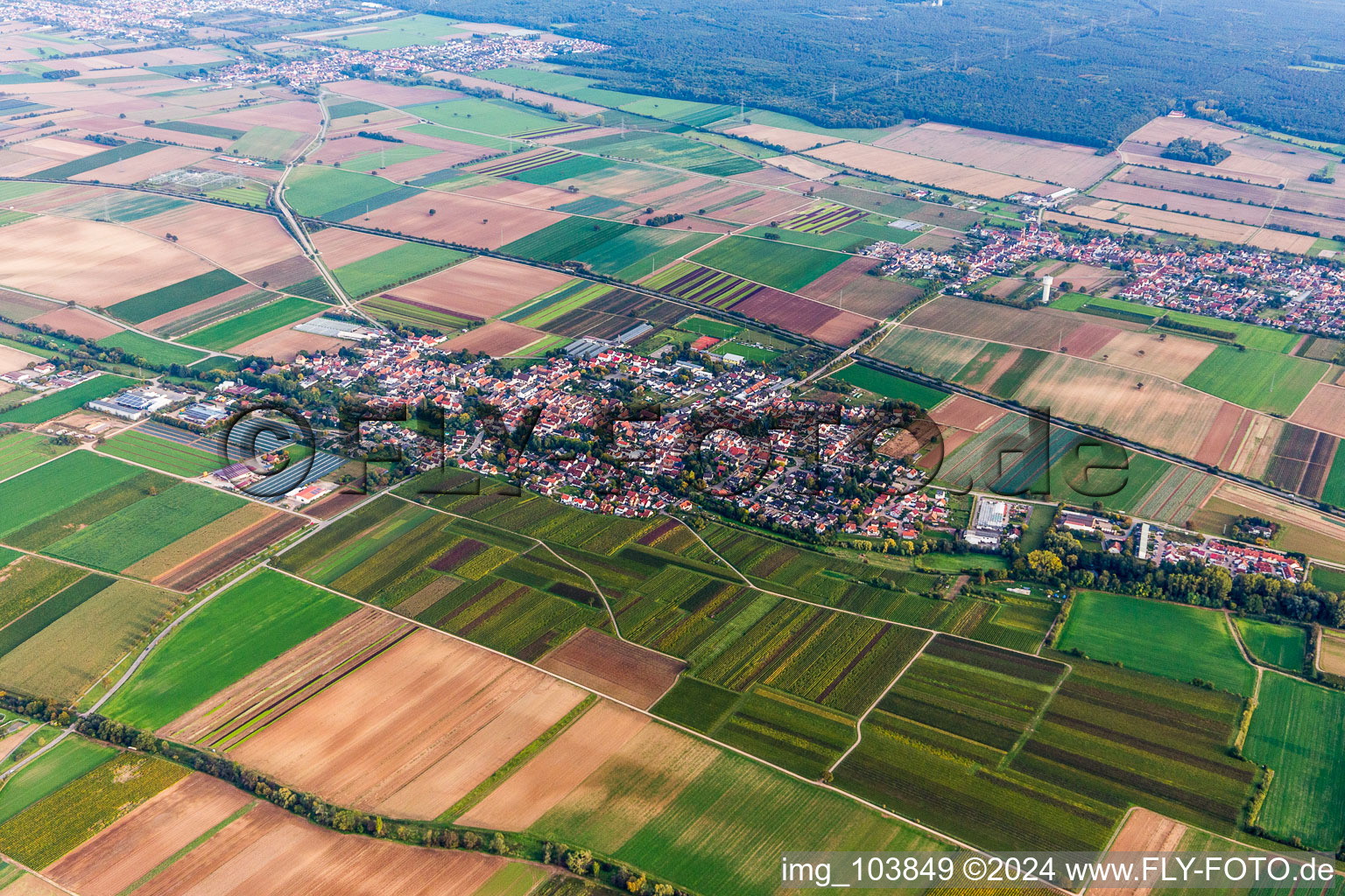 Aerial photograpy of Village - view on the edge of agricultural fields and farmland in Weingarten (Pfalz) in the state Rhineland-Palatinate, Germany