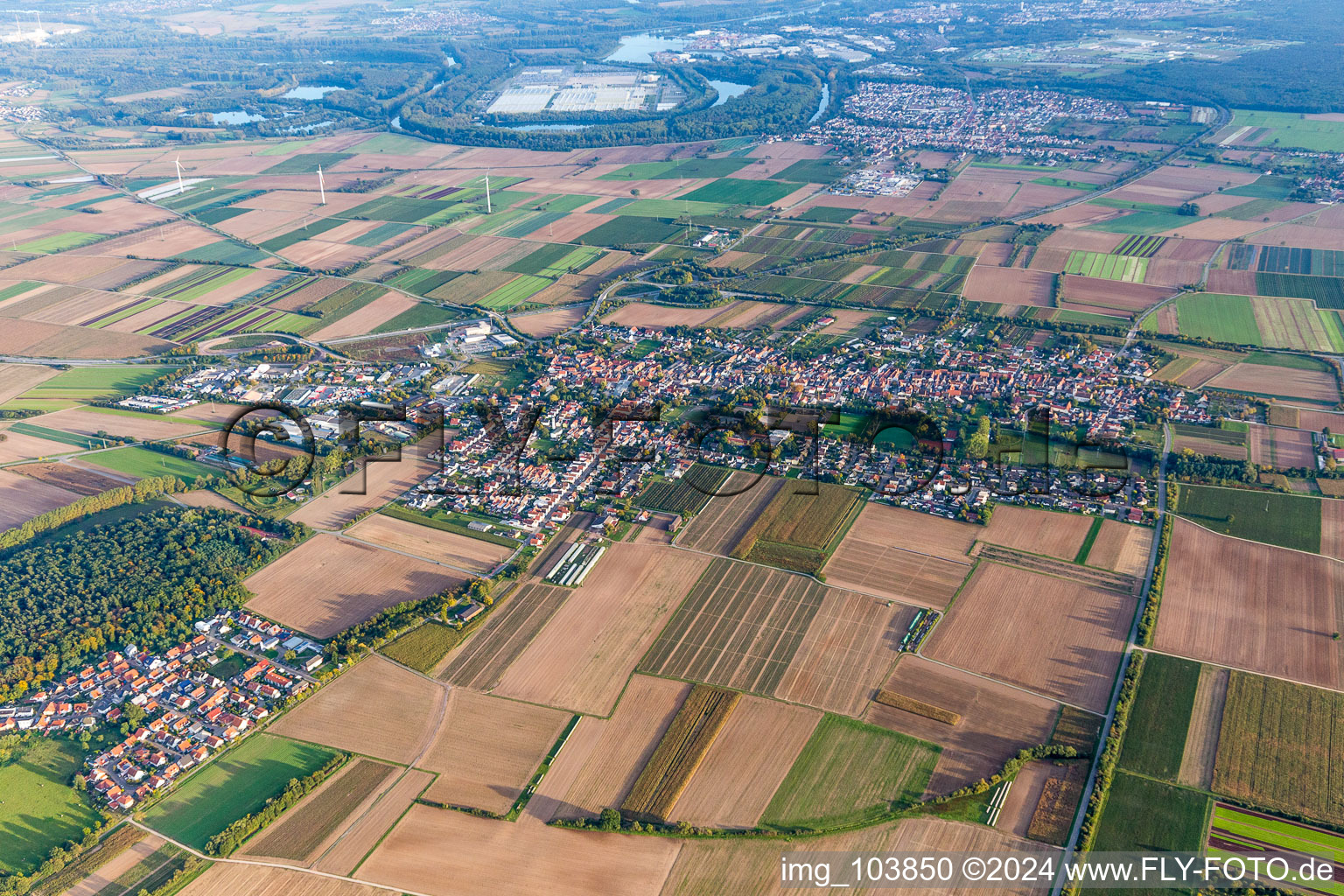 Aerial photograpy of Town View of the streets and houses of the residential areas in Schwegenheim in the state Rhineland-Palatinate, Germany