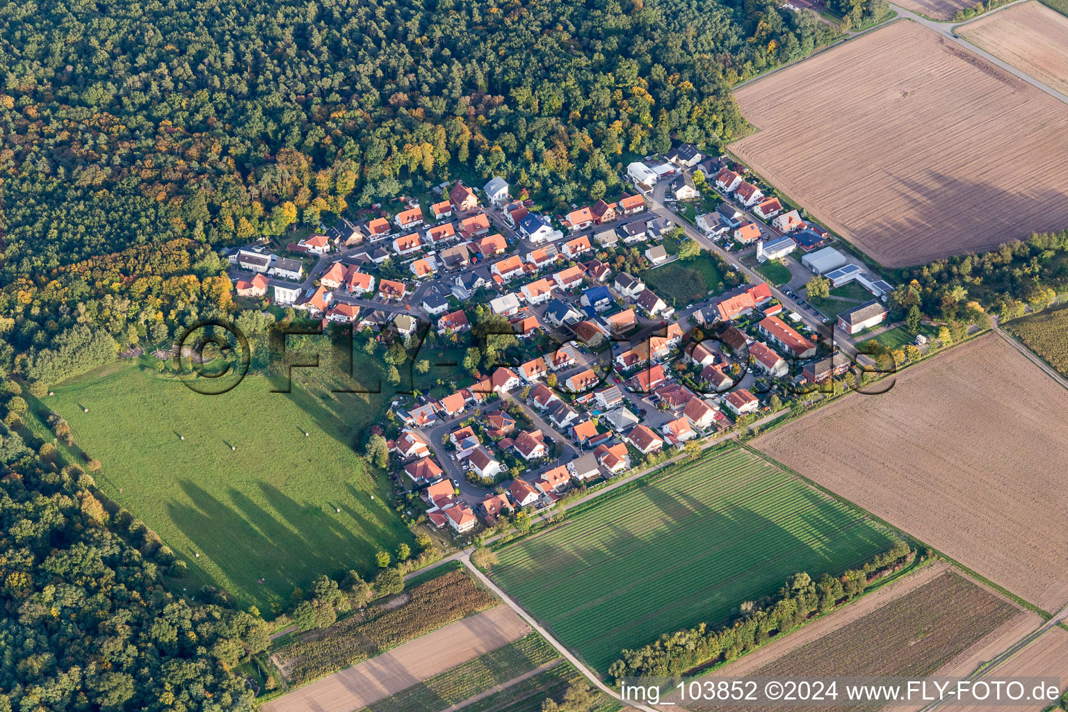 Settlement area in the district Vorderlohe in Schwegenheim in the state Rhineland-Palatinate, Germany