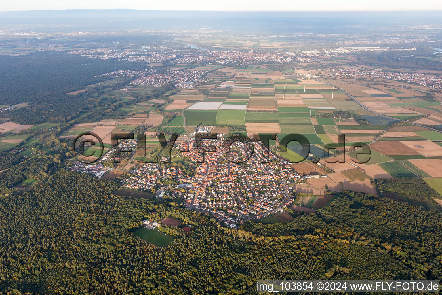 Harthausen in the state Rhineland-Palatinate, Germany seen from above