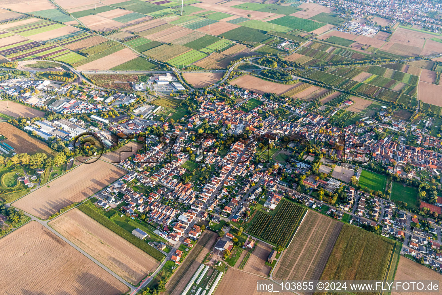 Oblique view of Town View of the streets and houses of the residential areas in Schwegenheim in the state Rhineland-Palatinate, Germany