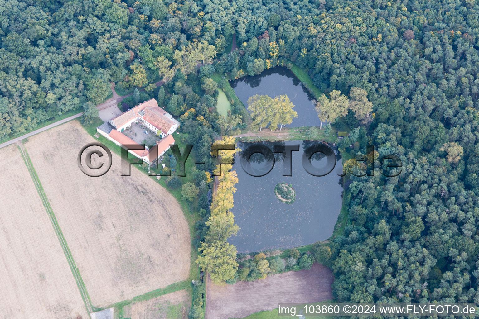 Oblique view of Lachenmühle in Lustadt in the state Rhineland-Palatinate, Germany