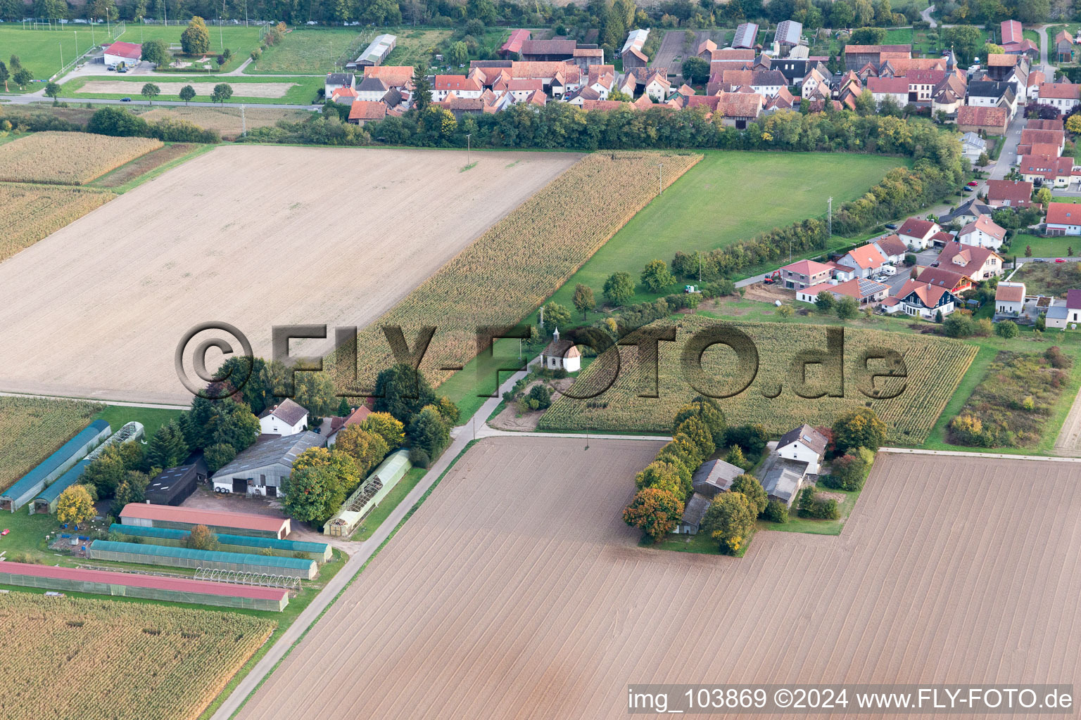 Herxheimweyher in the state Rhineland-Palatinate, Germany from above