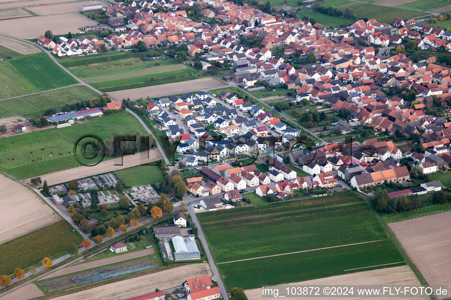 Hatzenbühl in the state Rhineland-Palatinate, Germany from a drone