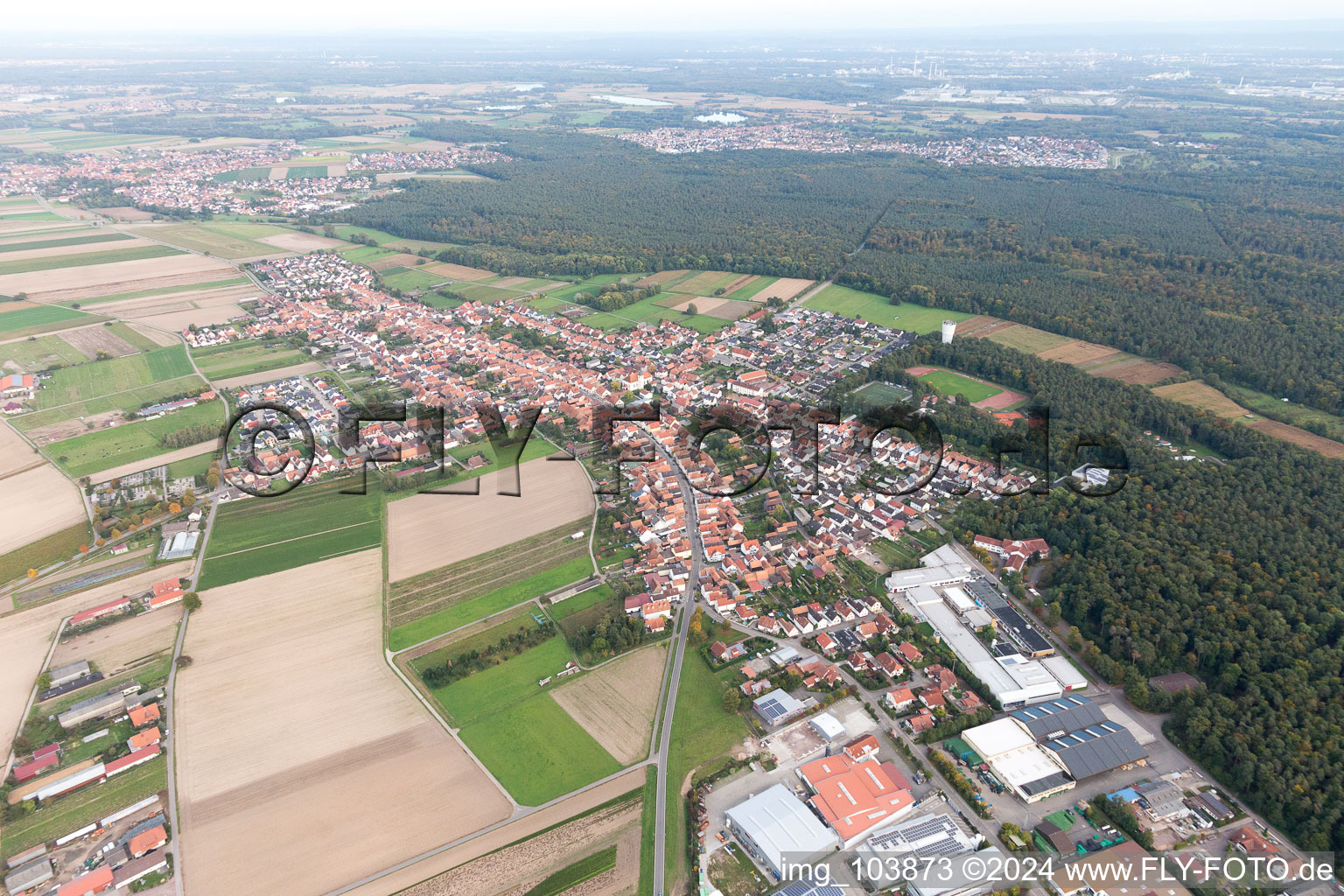 Hatzenbühl in the state Rhineland-Palatinate, Germany seen from a drone