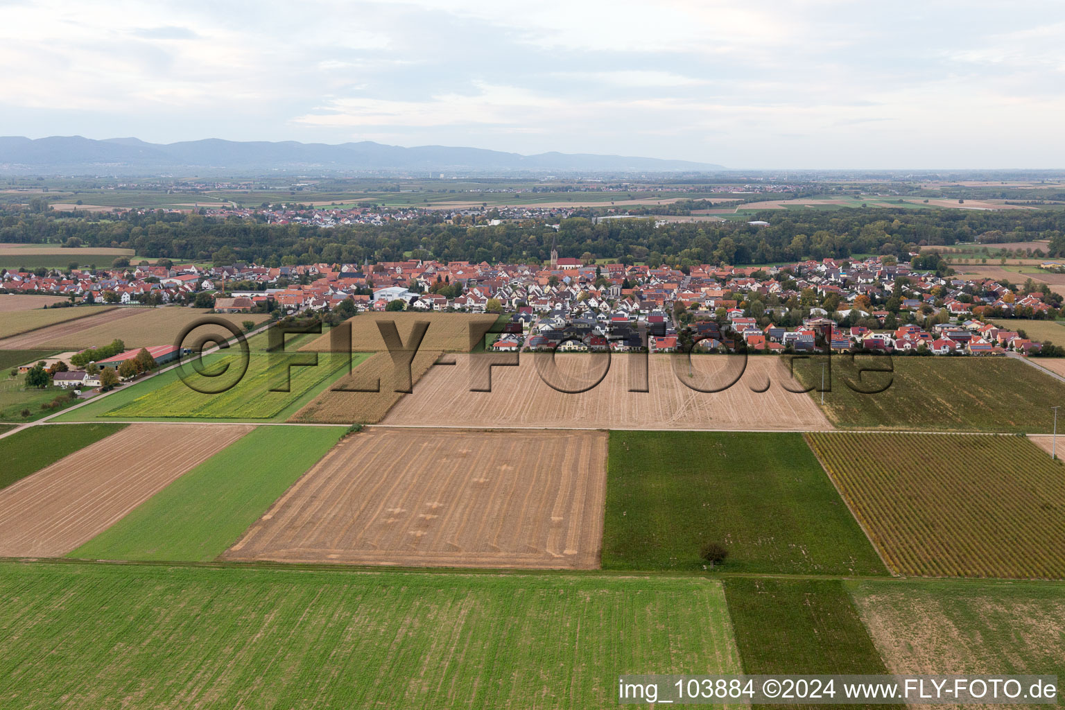 Drone recording of Steinweiler in the state Rhineland-Palatinate, Germany