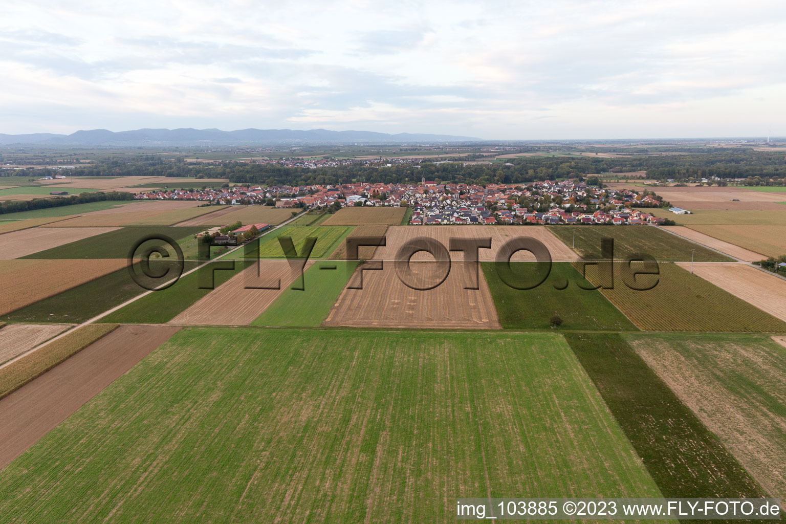 Drone image of Steinweiler in the state Rhineland-Palatinate, Germany