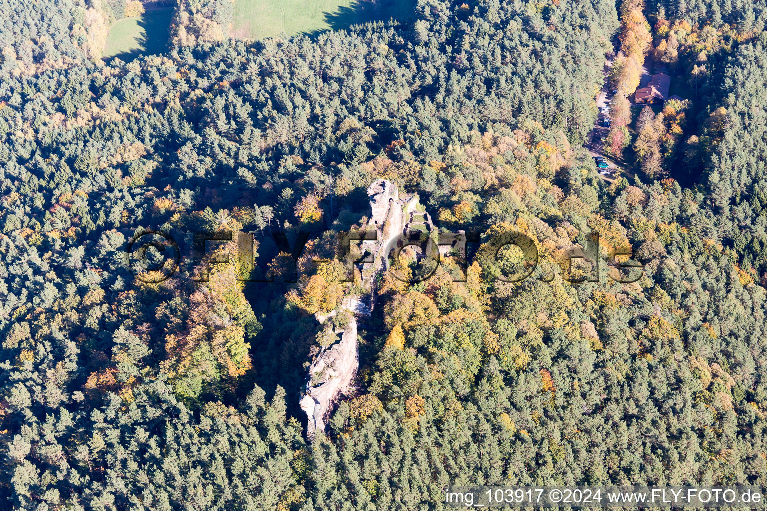 Drachenfels Castle Ruins in Busenberg in the state Rhineland-Palatinate, Germany from above