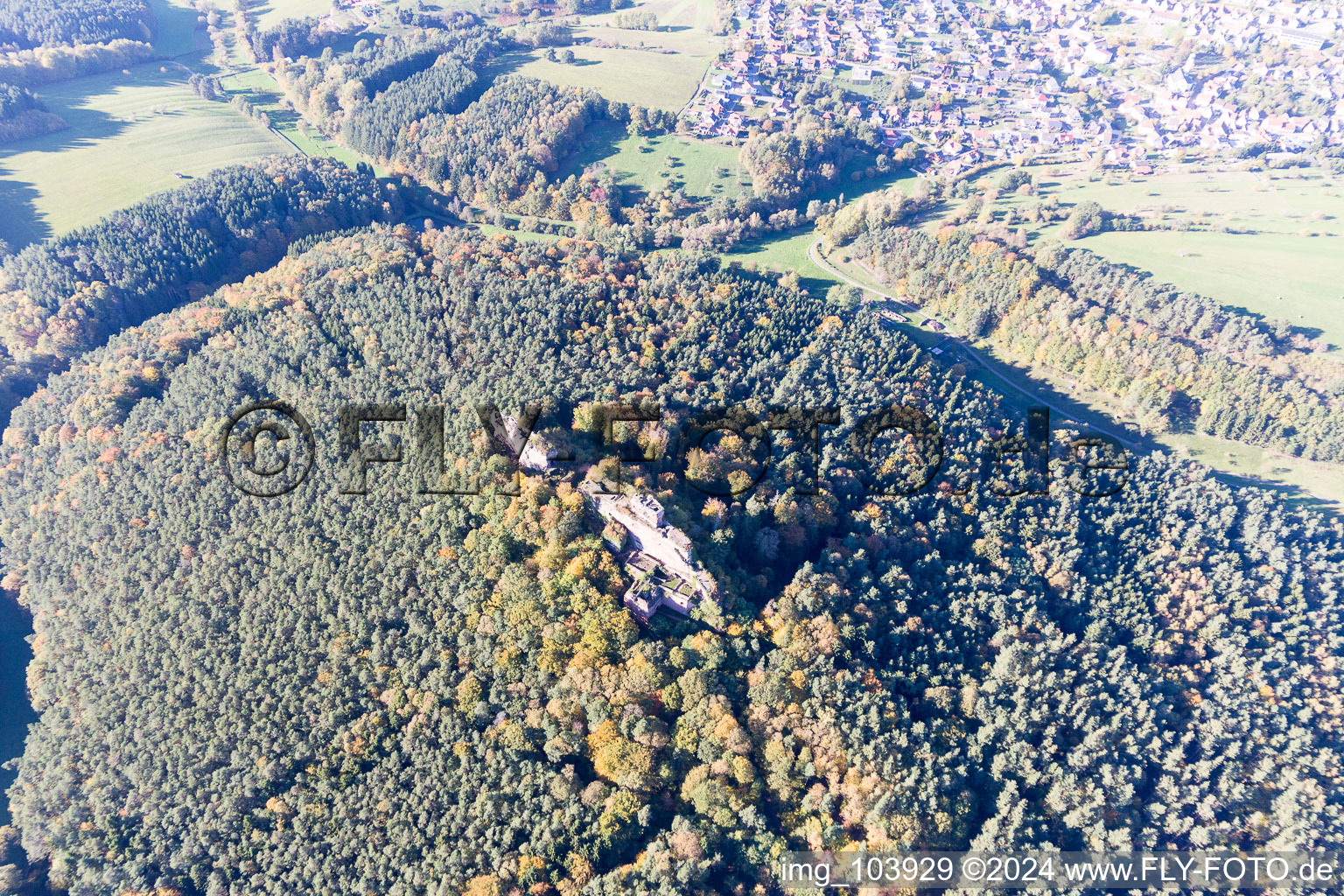 Drachenfels Castle Ruins in Busenberg in the state Rhineland-Palatinate, Germany viewn from the air