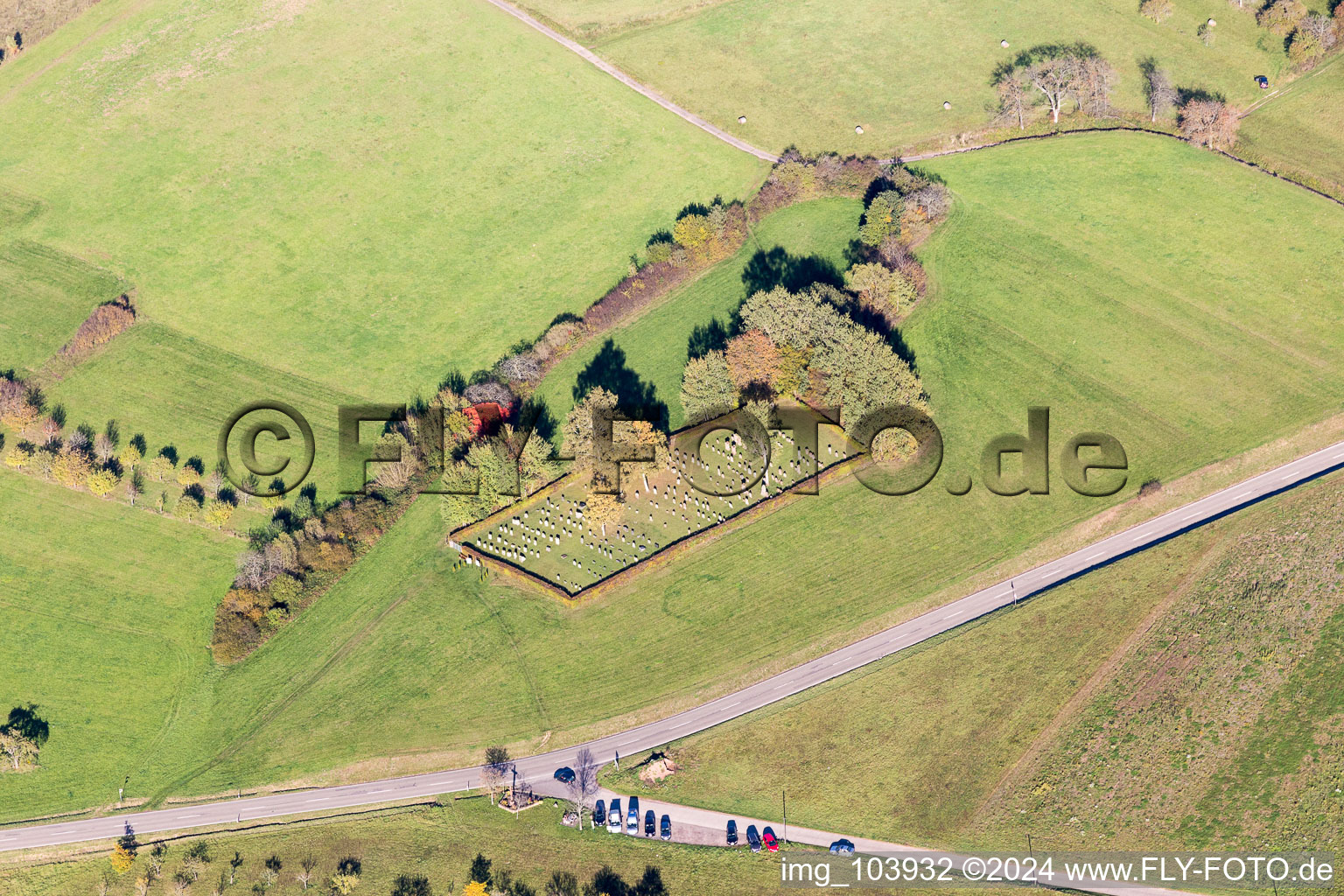 Oblique view of Busenberg in the state Rhineland-Palatinate, Germany