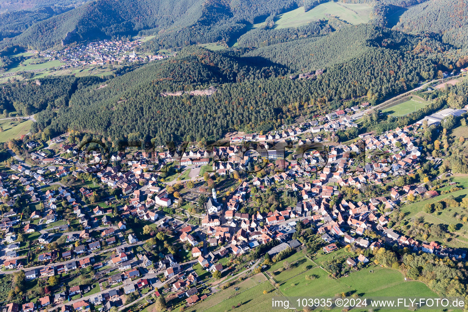 Busenberg in the state Rhineland-Palatinate, Germany from above