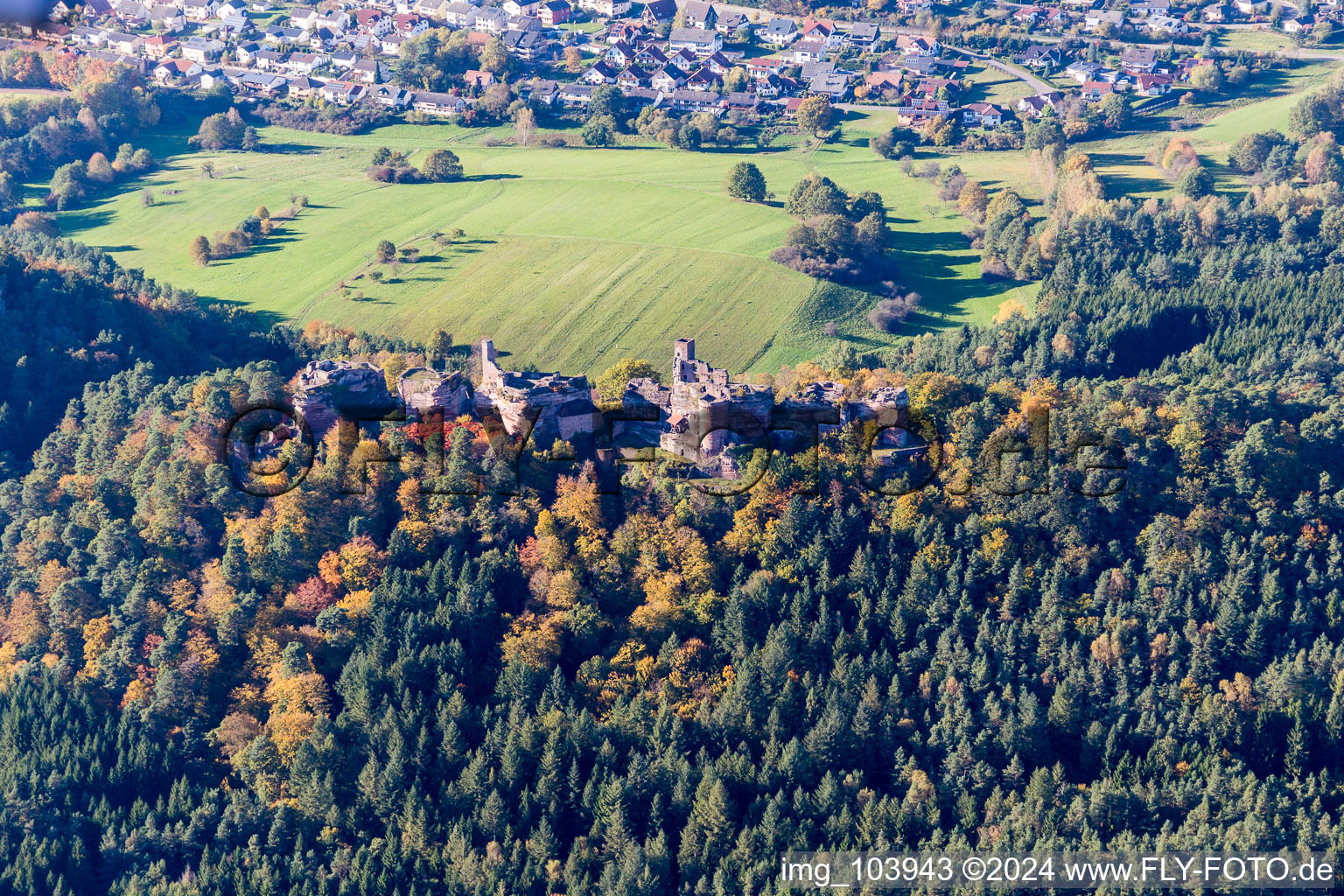 Ruin Old-Dahn in Dahn in the state Rhineland-Palatinate, Germany