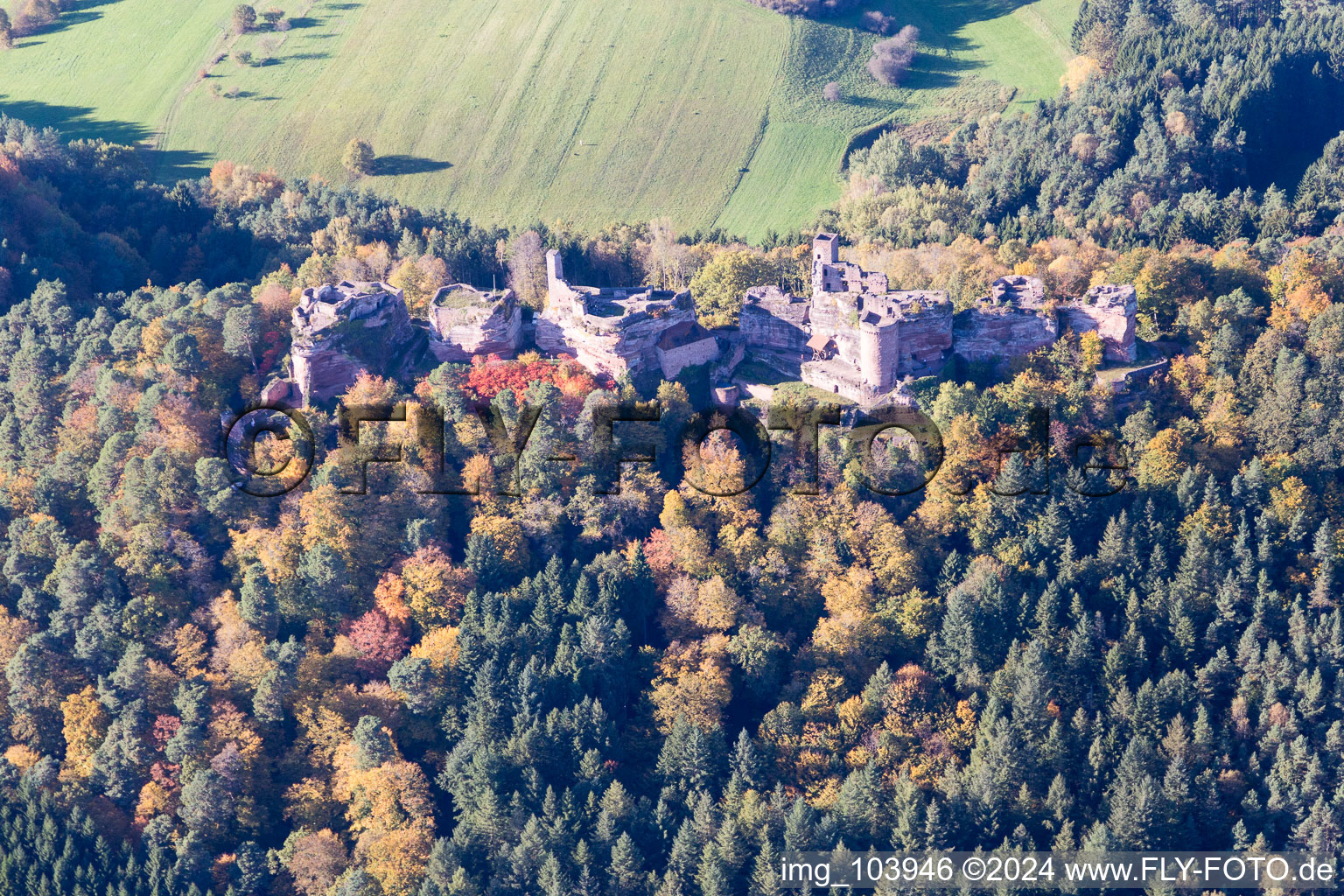 Aerial view of Ruin Old-Dahn in Dahn in the state Rhineland-Palatinate, Germany