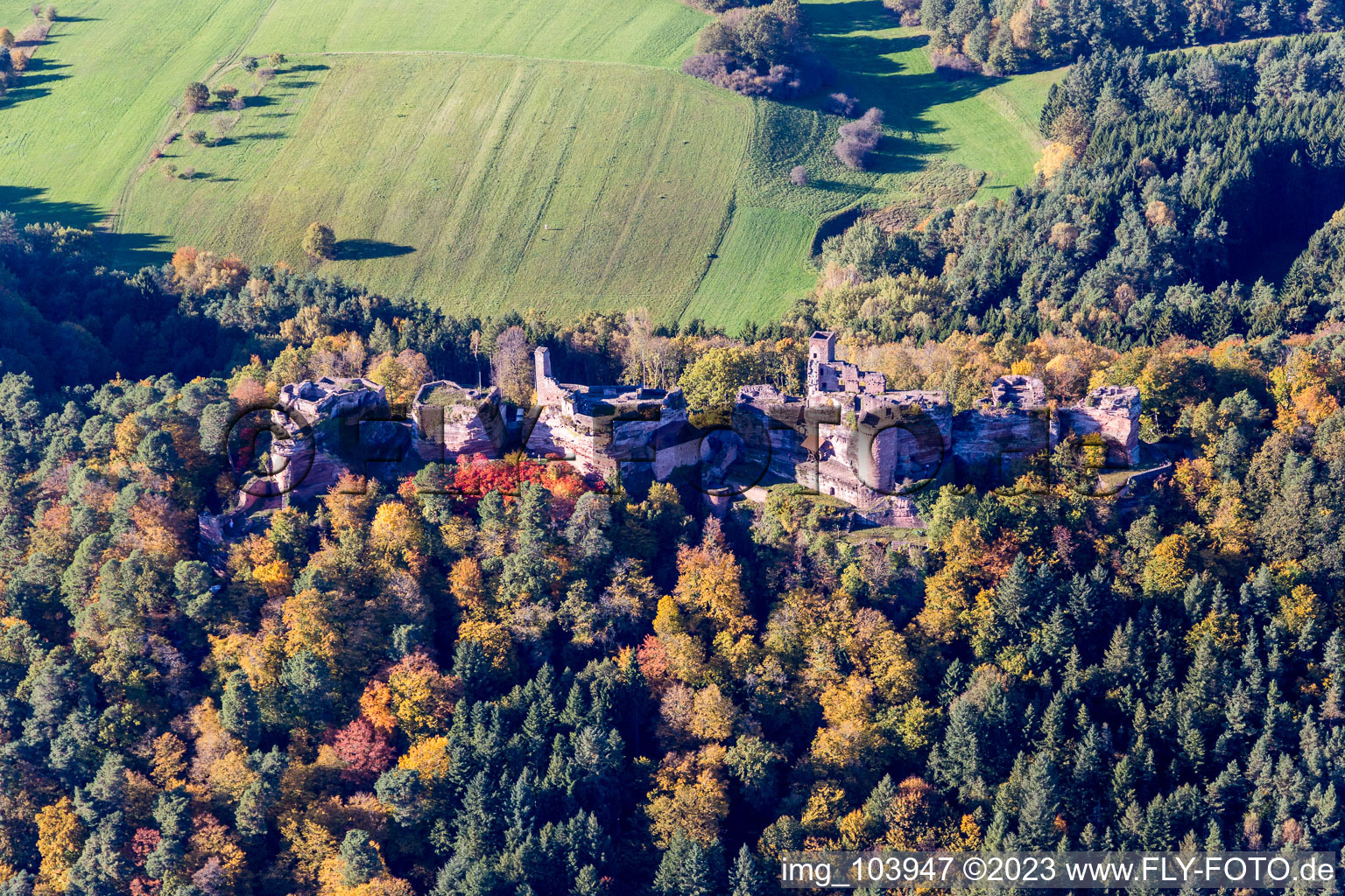 Aerial photograpy of Ruin Alt-Dahn in Dahn in the state Rhineland-Palatinate, Germany