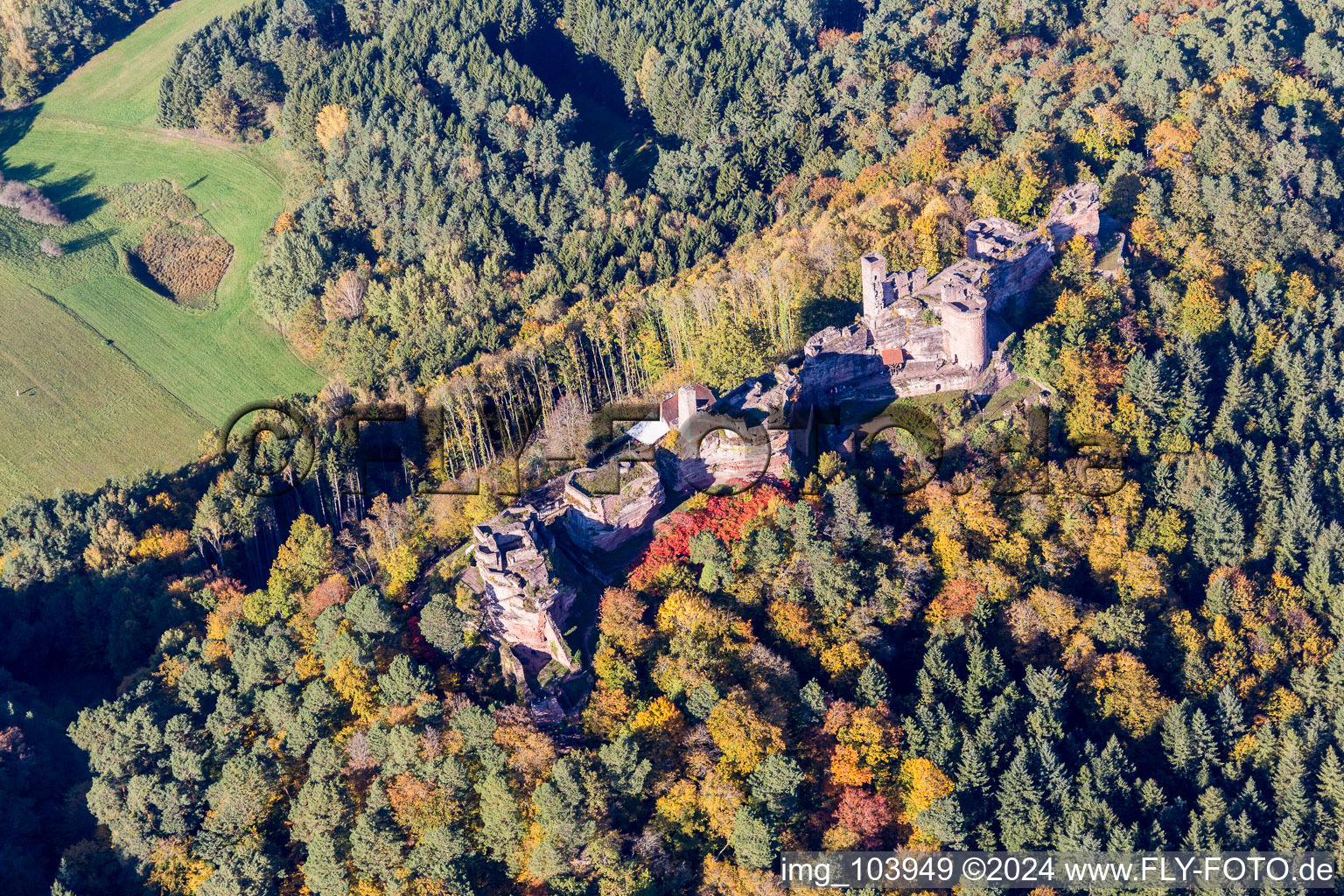 Oblique view of Ruin Old-Dahn in Dahn in the state Rhineland-Palatinate, Germany