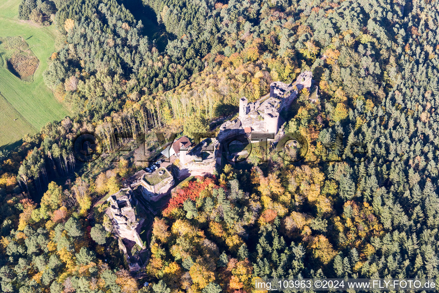 Oblique view of Altdahn and Neudahn Castles in Dahn in the state Rhineland-Palatinate, Germany