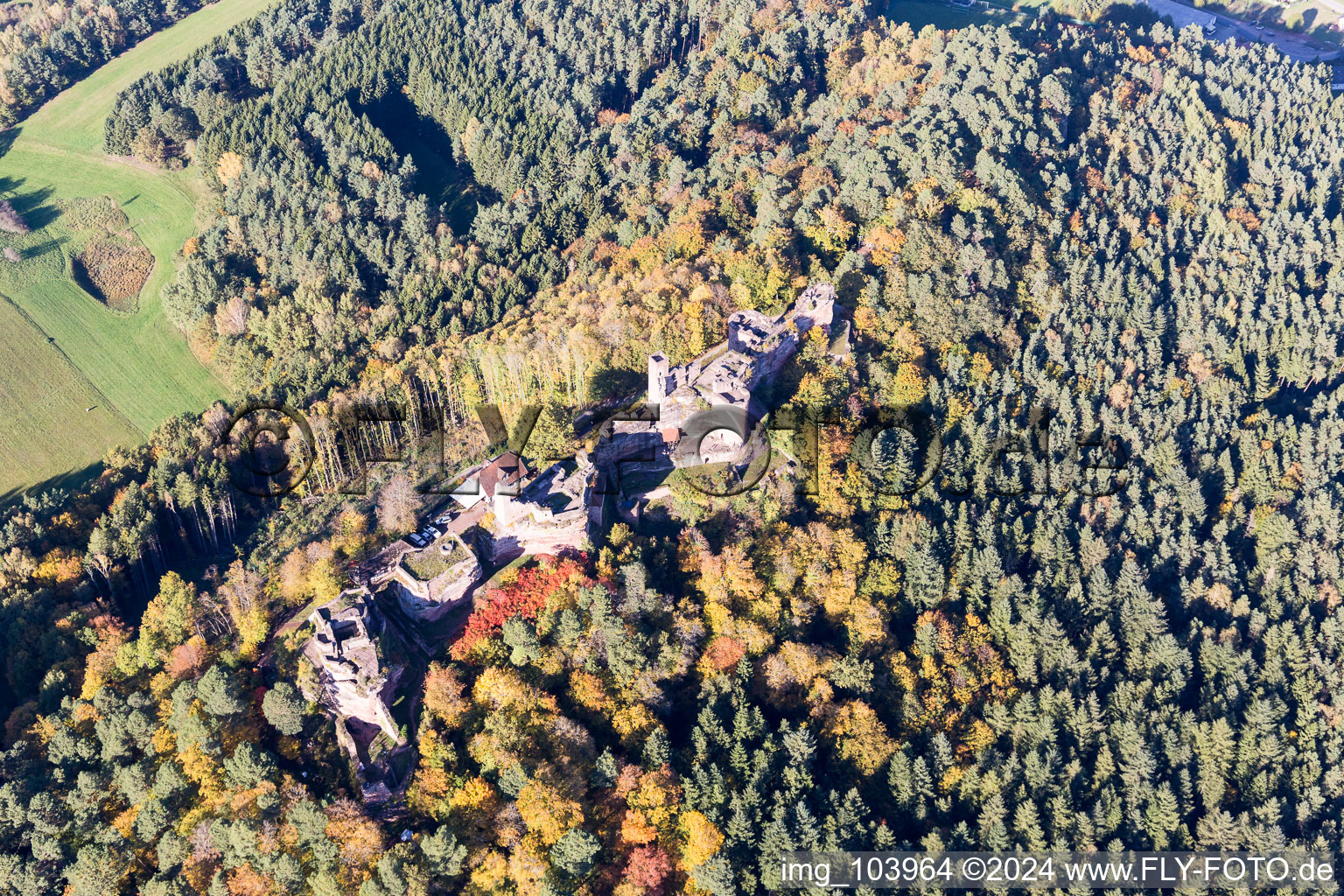 Altdahn and Neudahn Castles in Dahn in the state Rhineland-Palatinate, Germany from above