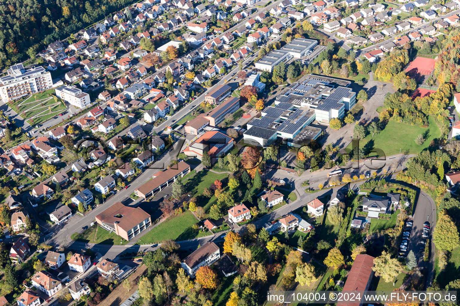 Aerial view of Dahn in the state Rhineland-Palatinate, Germany