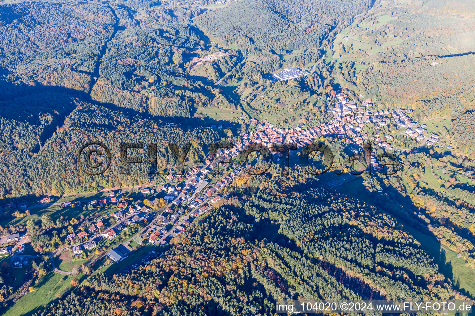 Village - view on the edge of forests in Schwanheim in the state Rhineland-Palatinate, Germany