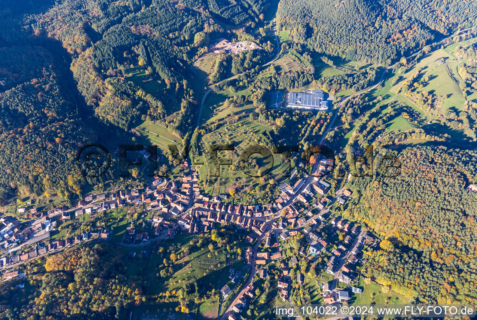 Oblique view of Schwanheim in the state Rhineland-Palatinate, Germany