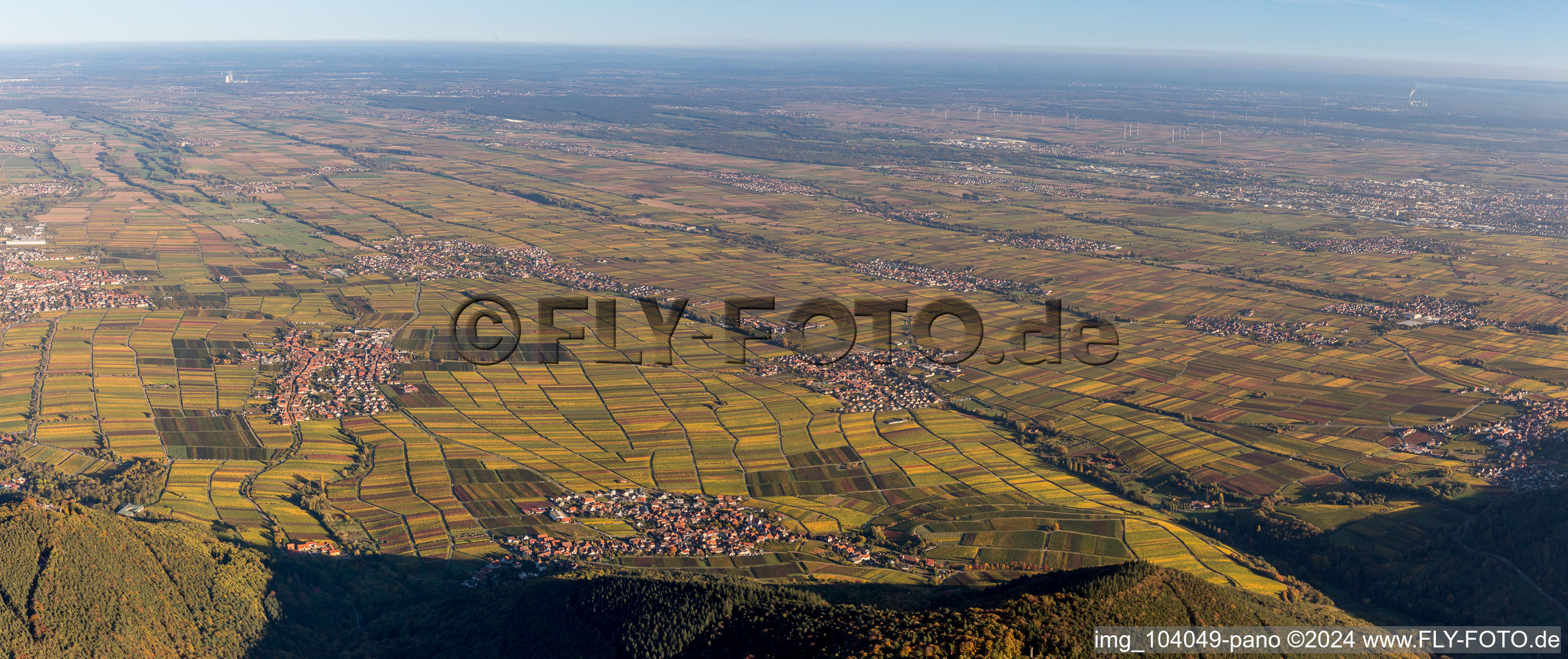 Fields of wine cultivation landscape Palatinate wine street in Weyher in der Pfalz in the state Rhineland-Palatinate, Germany