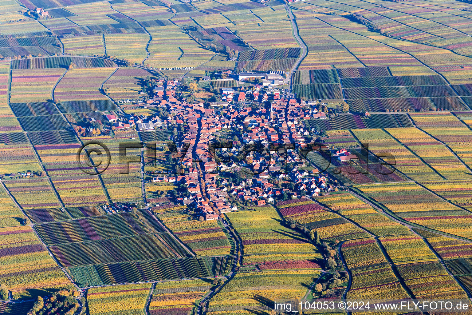 Aerial view of Vineyards in autumn colors in Rhodt unter Rietburg in the state Rhineland-Palatinate, Germany