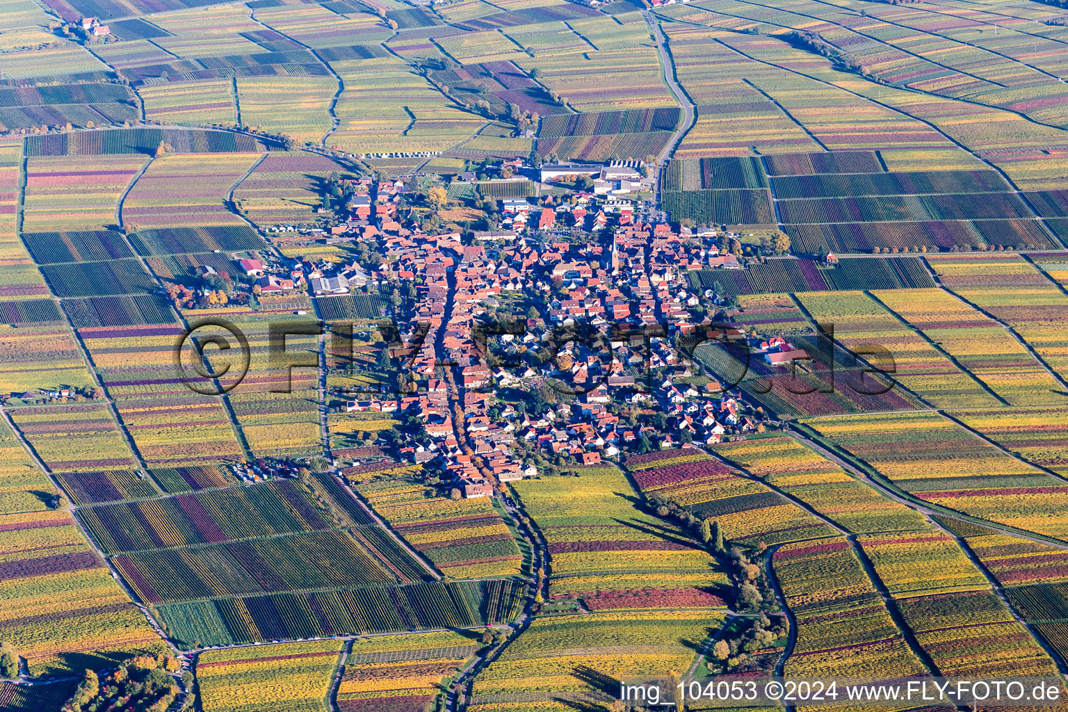 Aerial view of Vineyards in autumn colours in the district Rhodt in Rhodt unter Rietburg in the state Rhineland-Palatinate, Germany