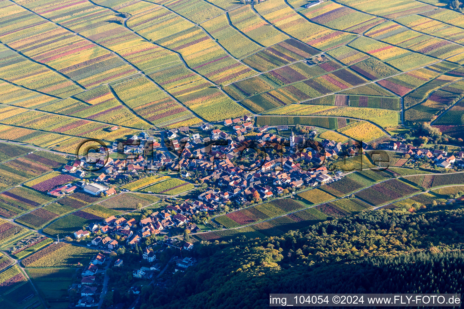 Aerial view of Fields of wine cultivation landscape Palatinate wine street in Weyher in der Pfalz in the state Rhineland-Palatinate, Germany