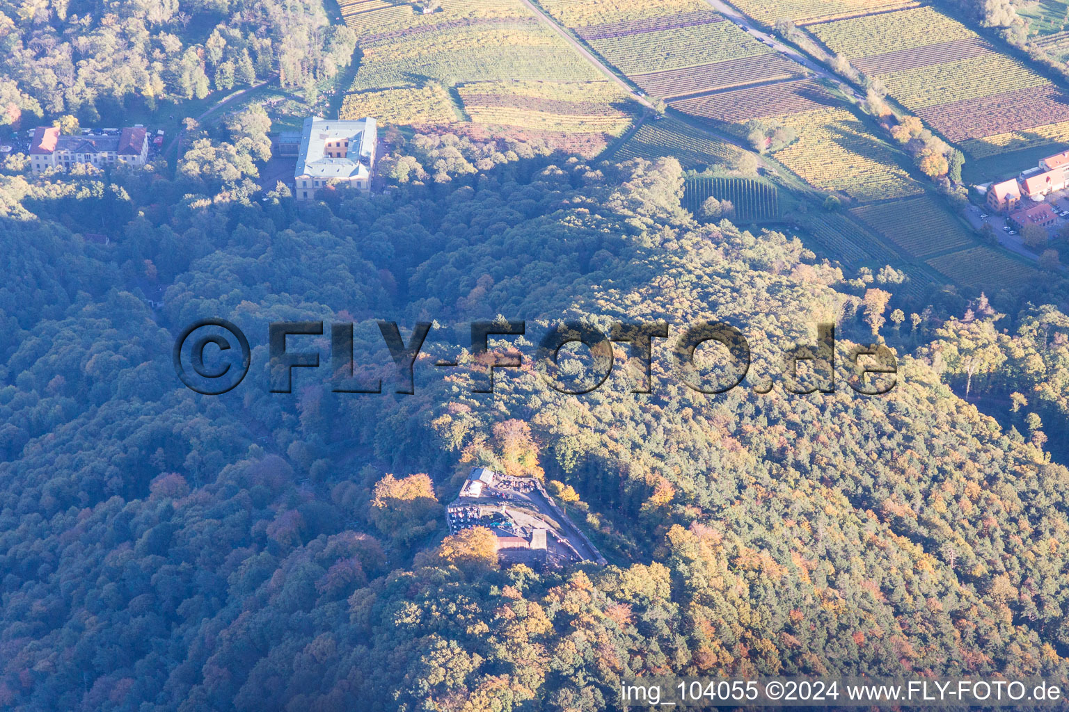 Rietburg in Rhodt unter Rietburg in the state Rhineland-Palatinate, Germany viewn from the air