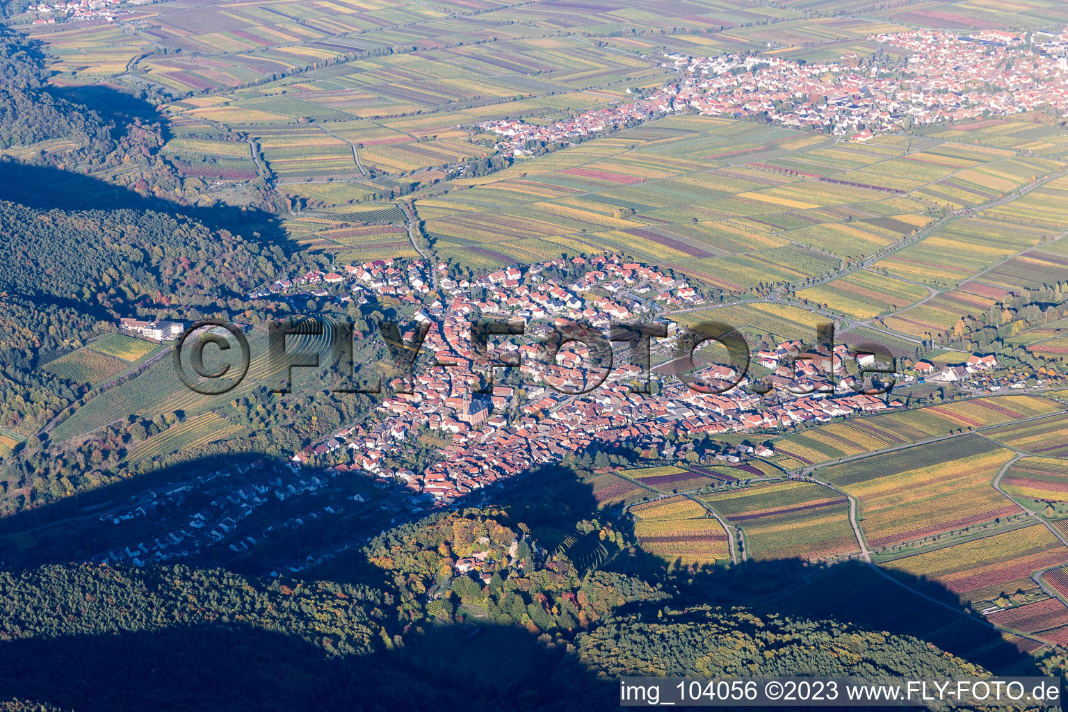 Aerial view of St. Martin in Sankt Martin in the state Rhineland-Palatinate, Germany